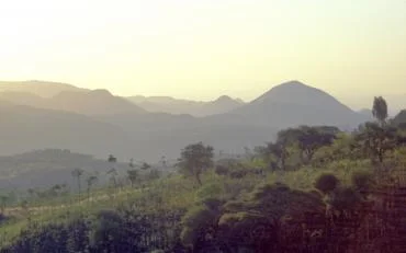 Filmavond "Boeren met toekomst"