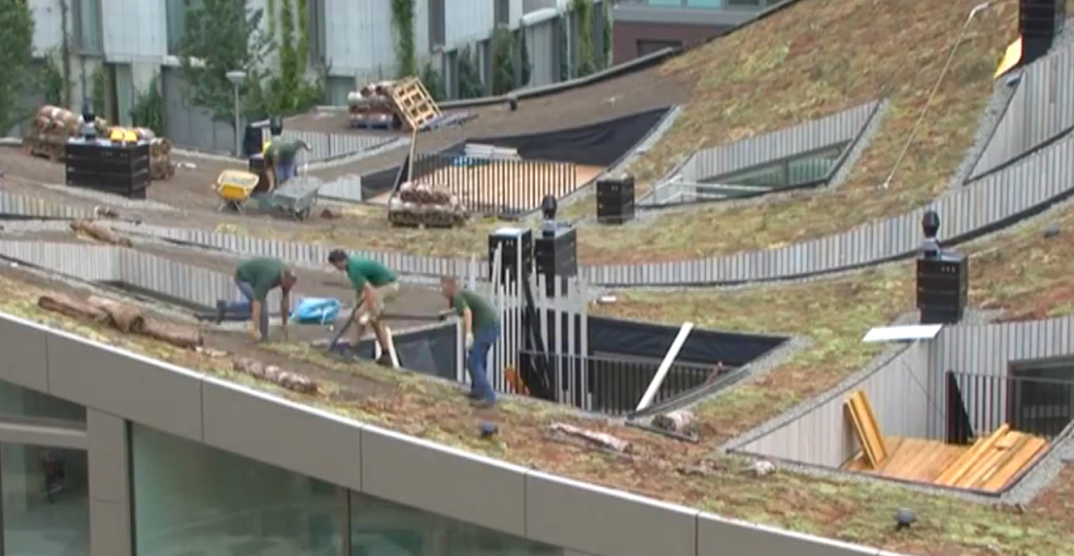 Multifunctioneel daklandschap ? Kasper Spaan