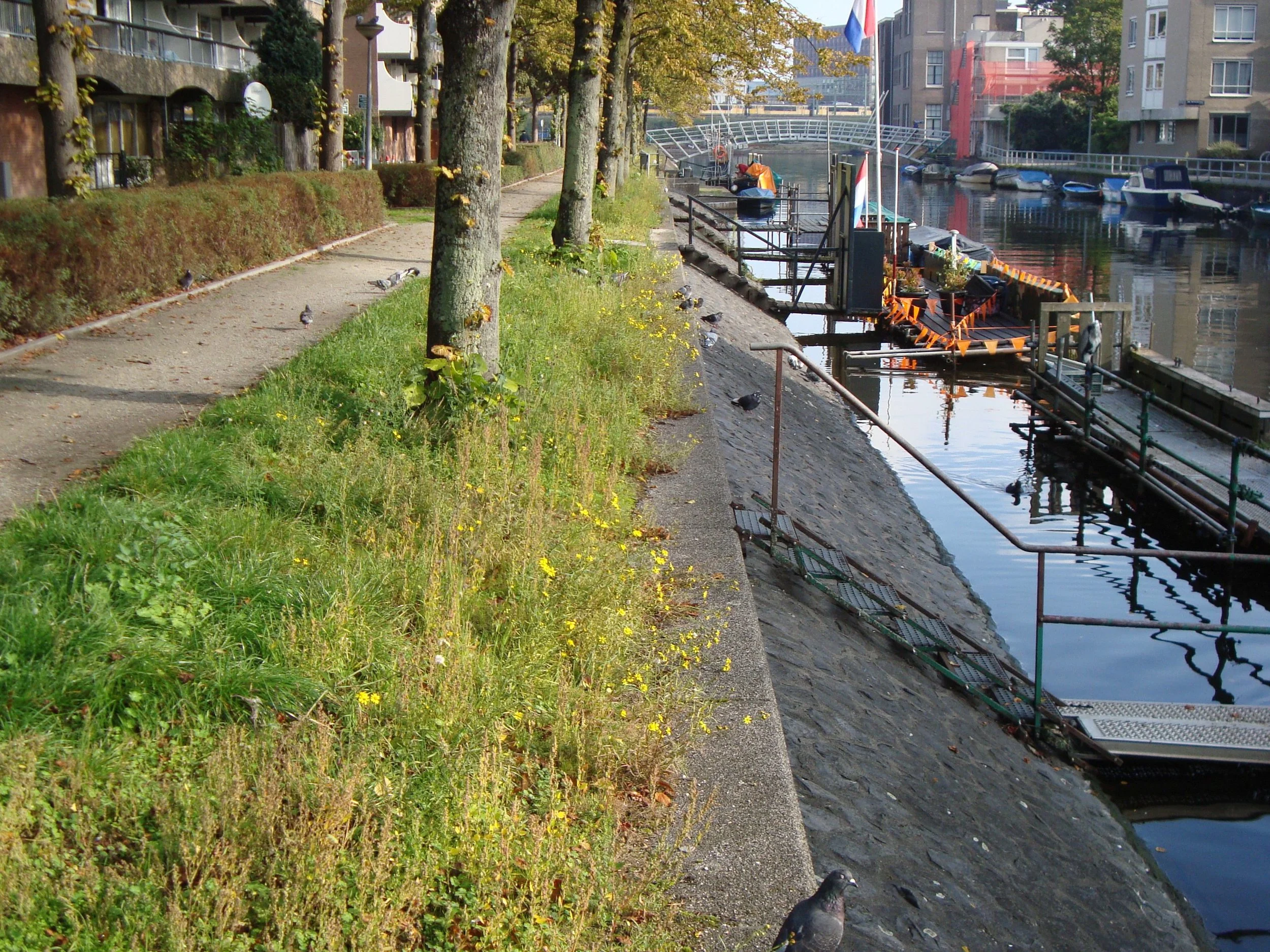 kattenburgerkade foto 2 2014.jpg
