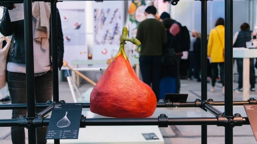 NEMO-De-Studio_future-of-food-830x466.jpg