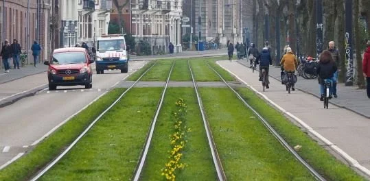 Informatiebijeenkomst Sarphatistraat tussen Alexanderplein en Hoogte Kadijk