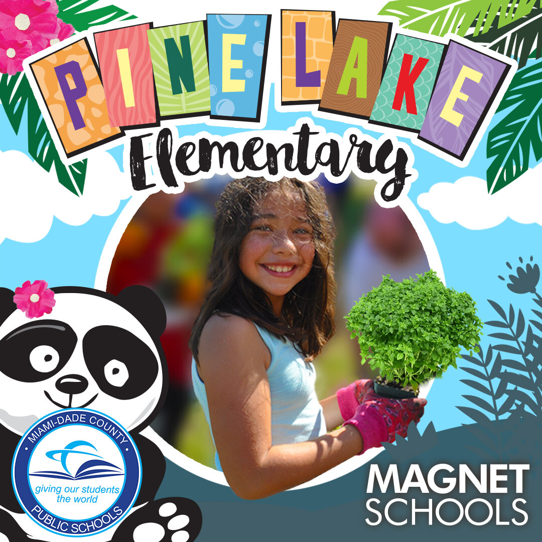 Pinelake ES - Applicaton Period 2B.jpg