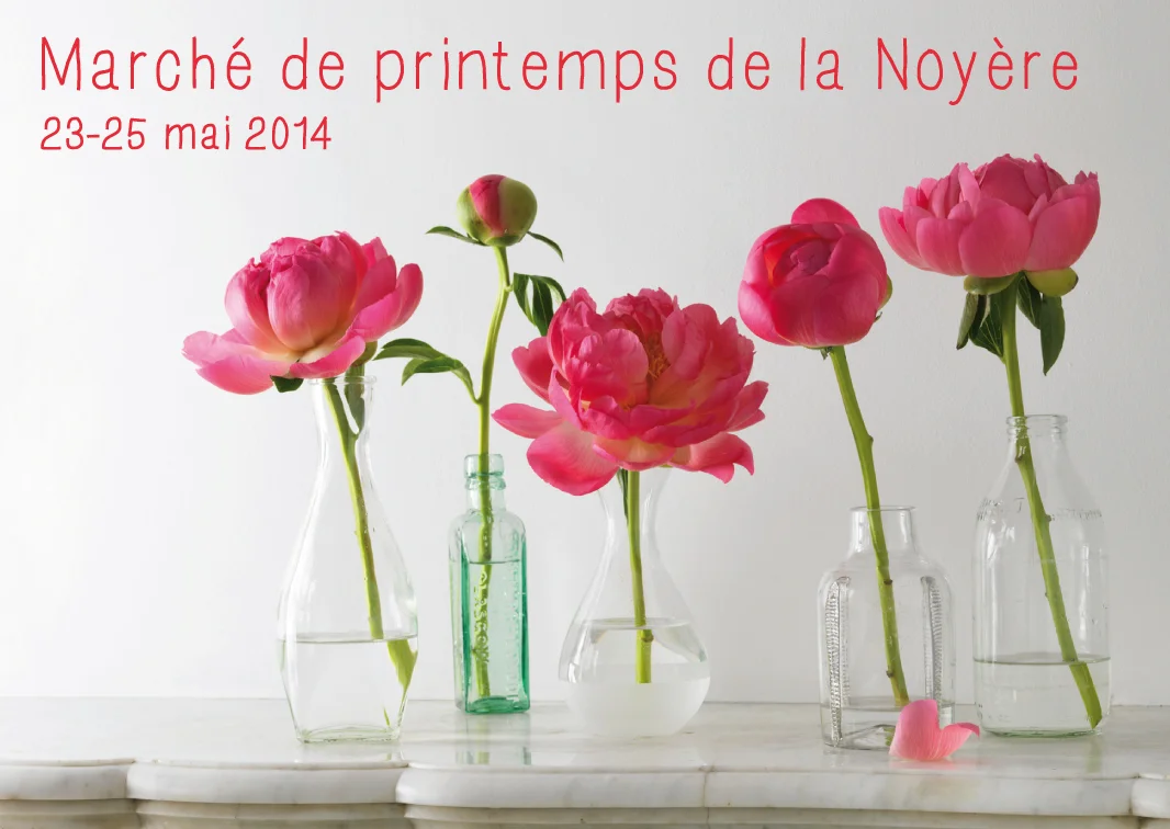affichemnarche-noyere2014.jpg