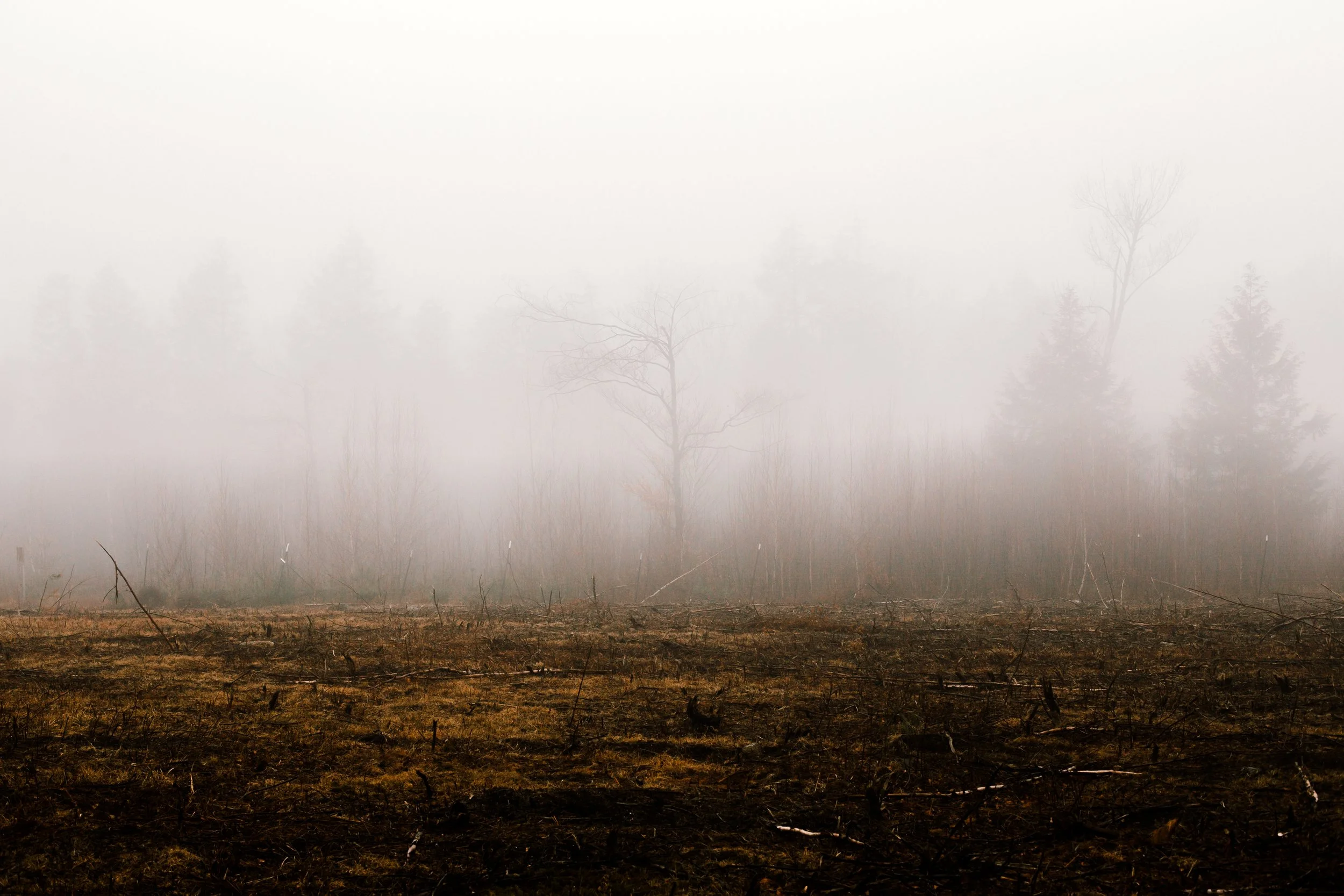 Balukonis_151222-18.jpg
