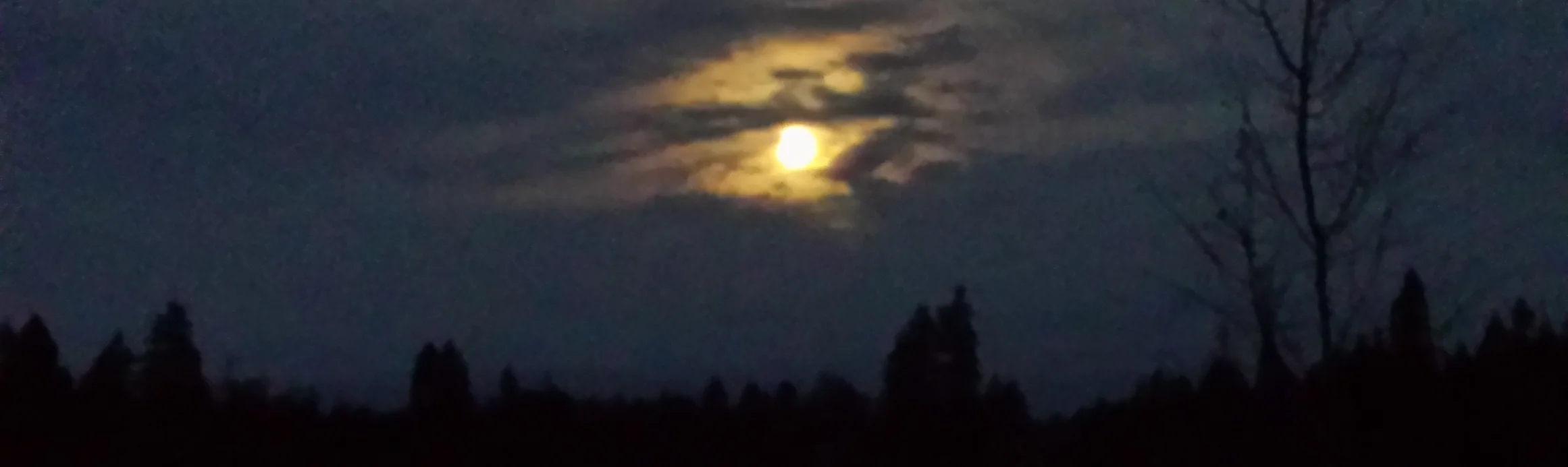 Autumn moon Nov 2017.jpg