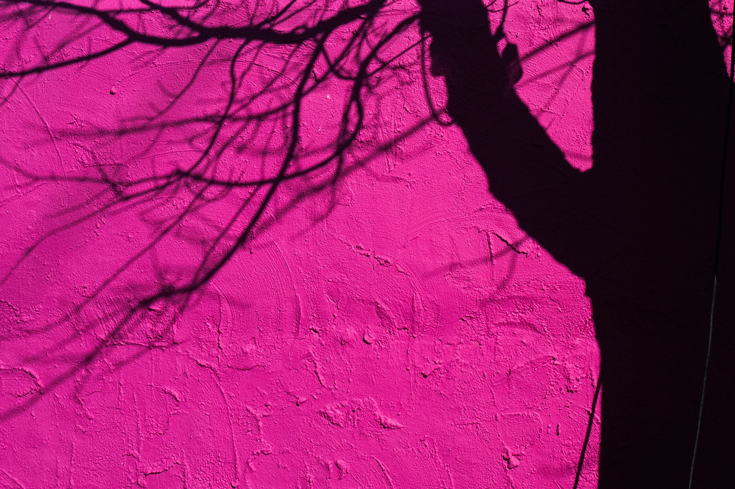 L1000841.jpg