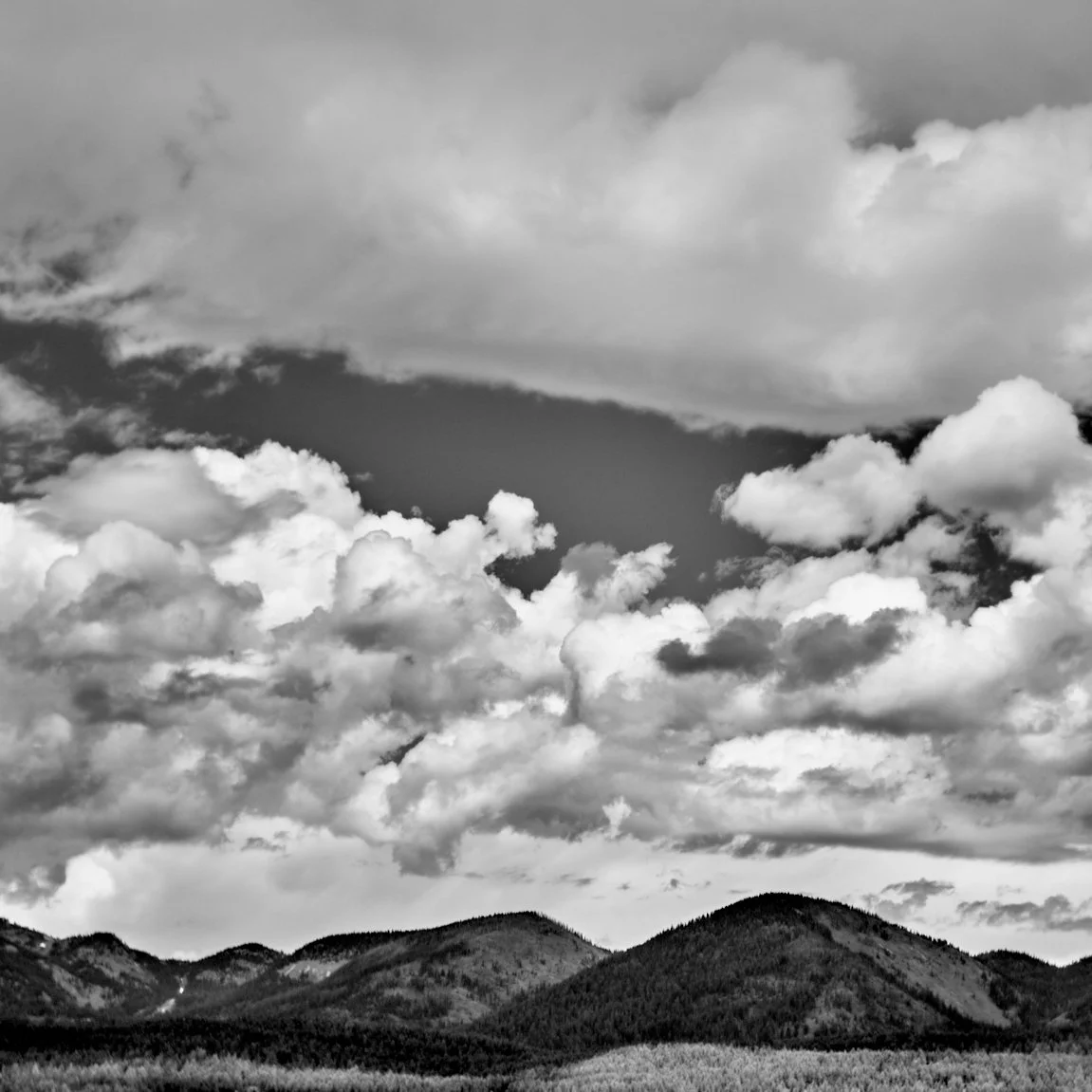 L1007972.jpg