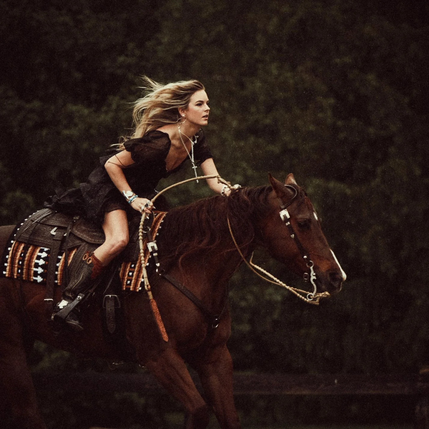 Karley Scott Collins