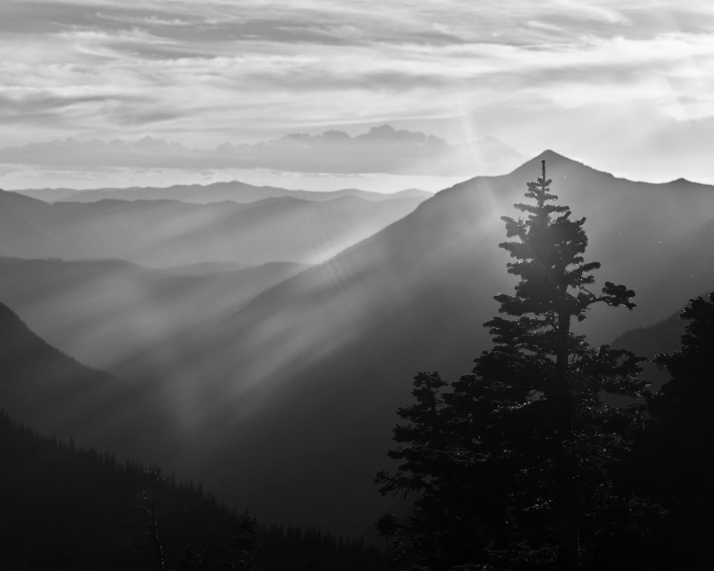 L1005876 1A.JPG