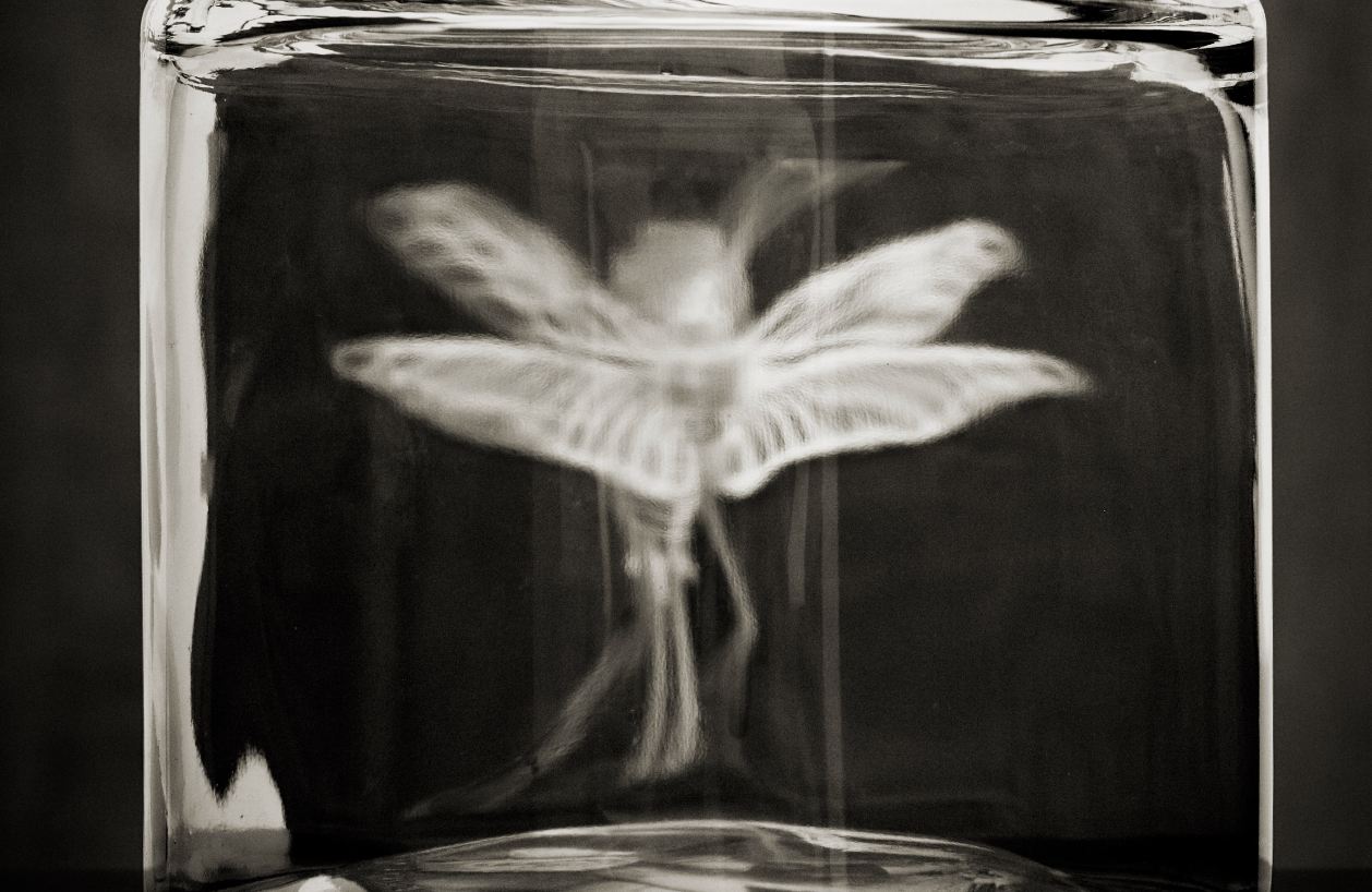 Related Video Item Thumbnail