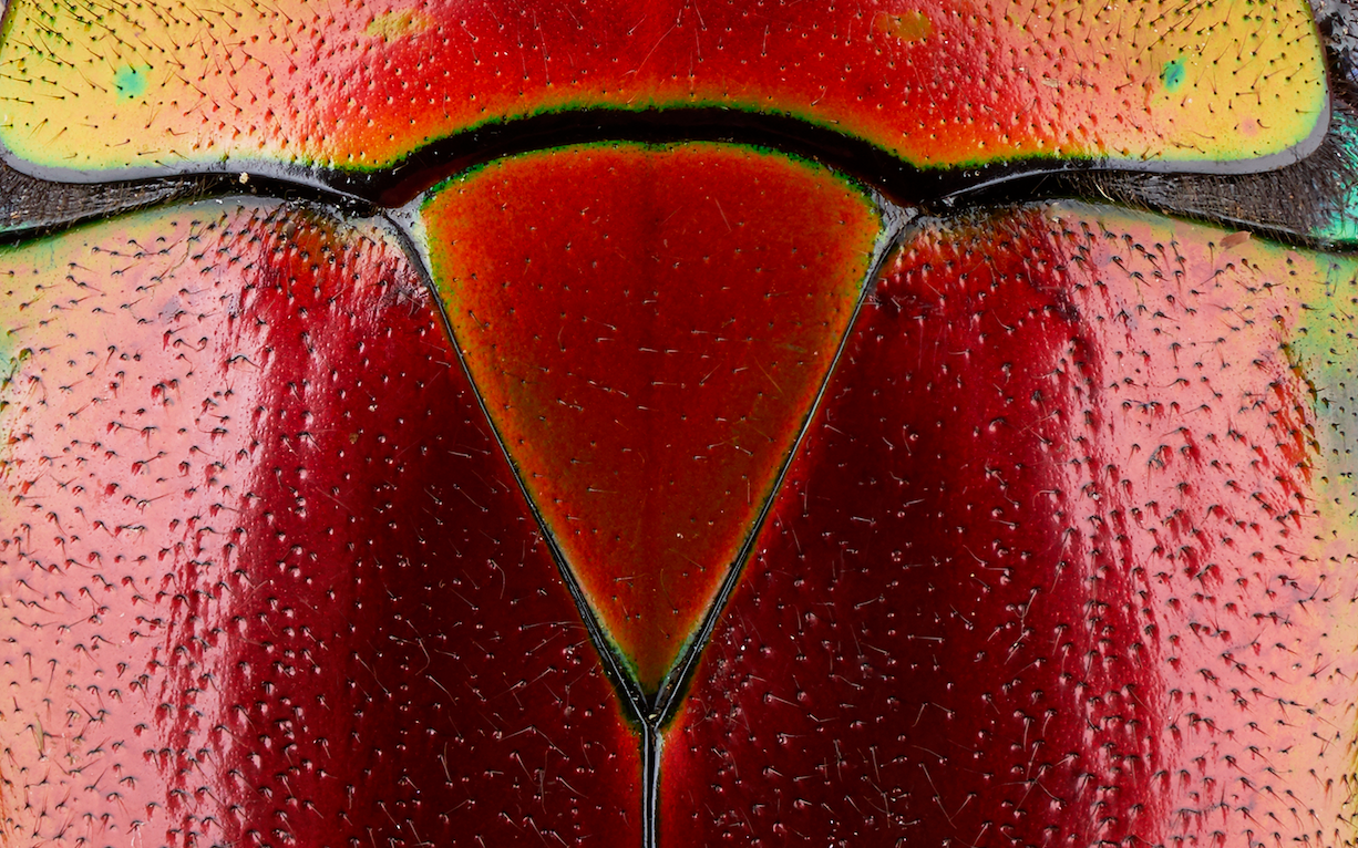 Related Video Item Thumbnail