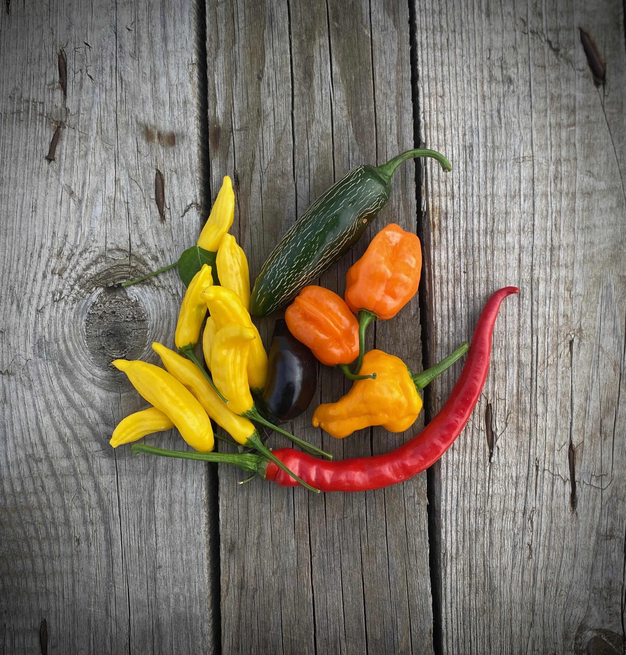 Чили микс перцев