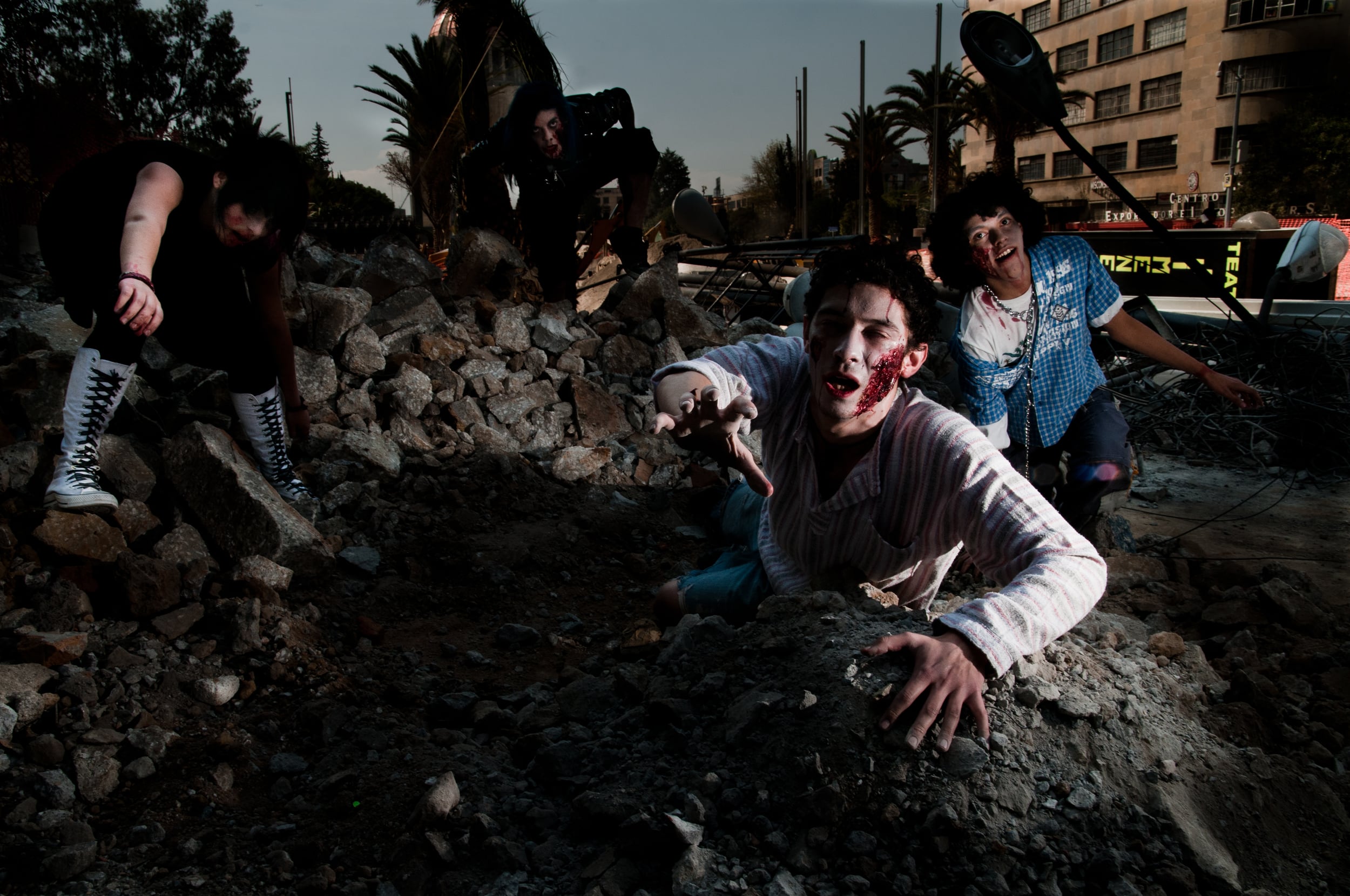 Virus Chapter Summaries