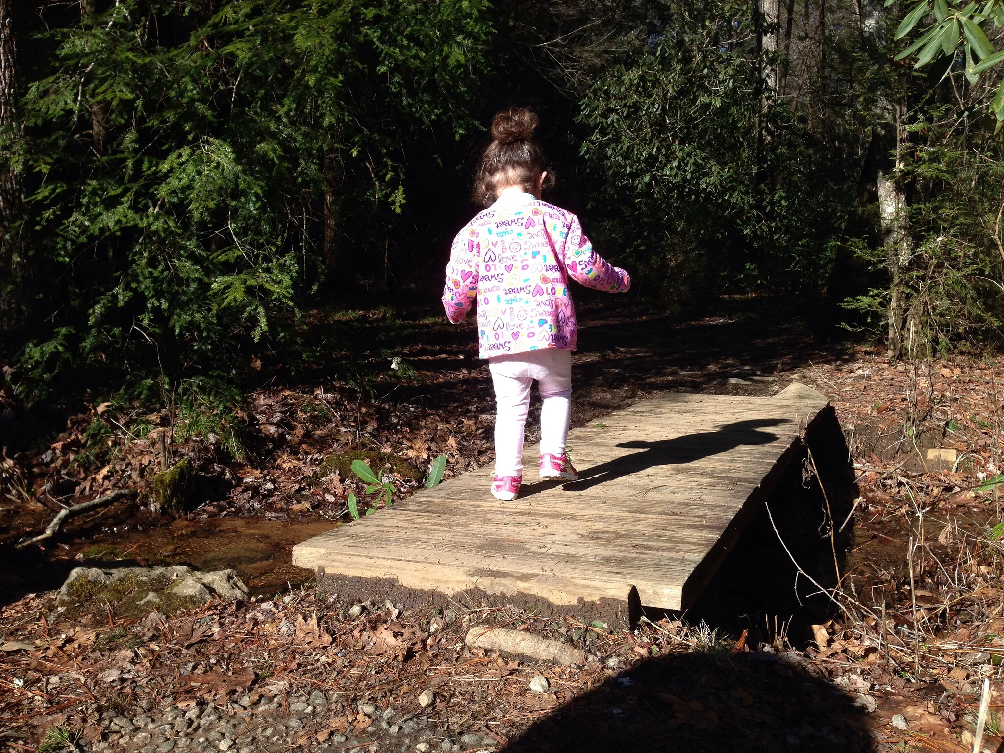 How To Take A Toddler Camping For The First Time