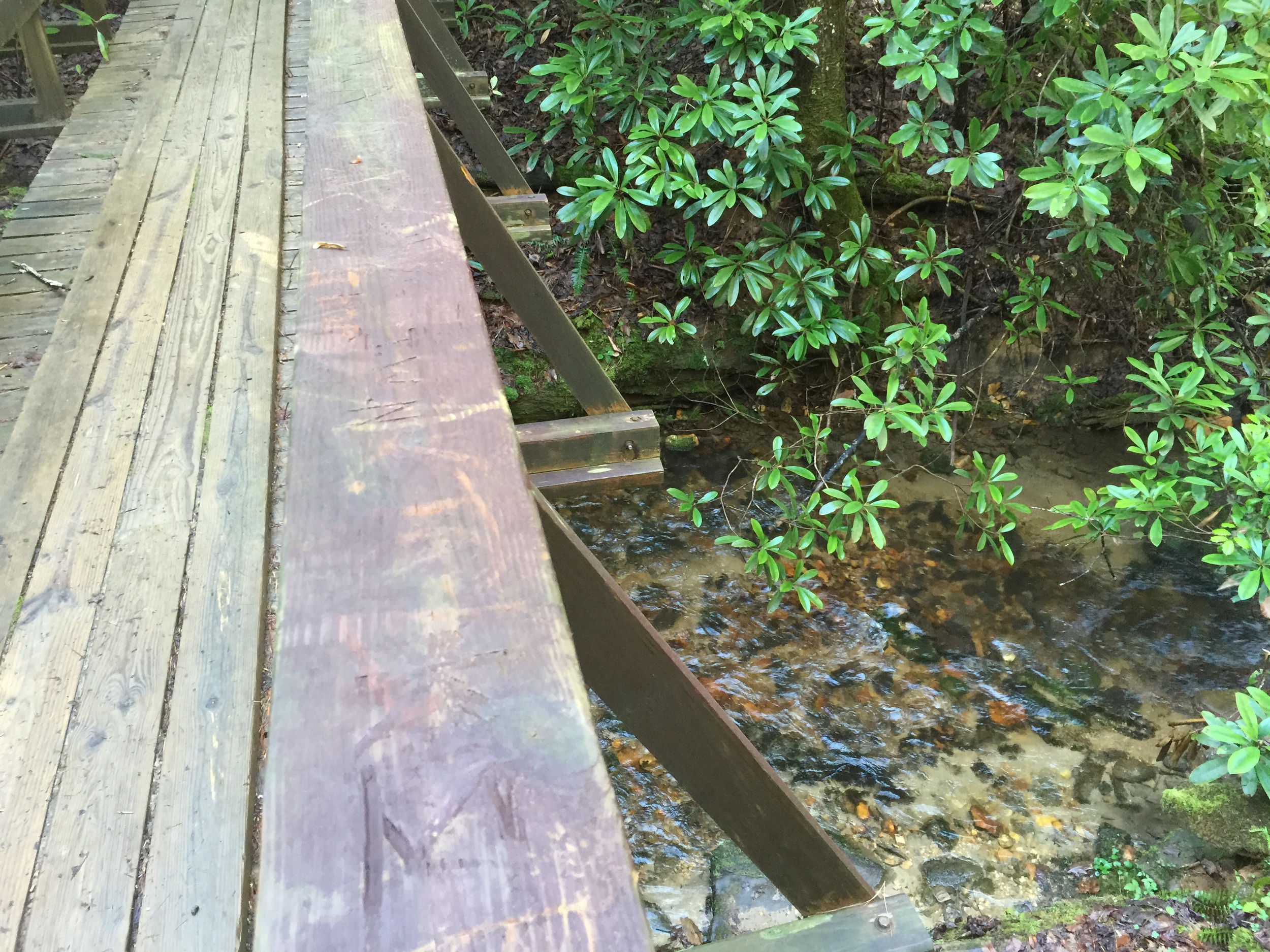 Appalachian Trail - Three Forks