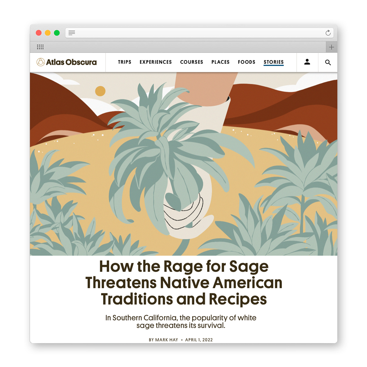 Sage_Web Display.png