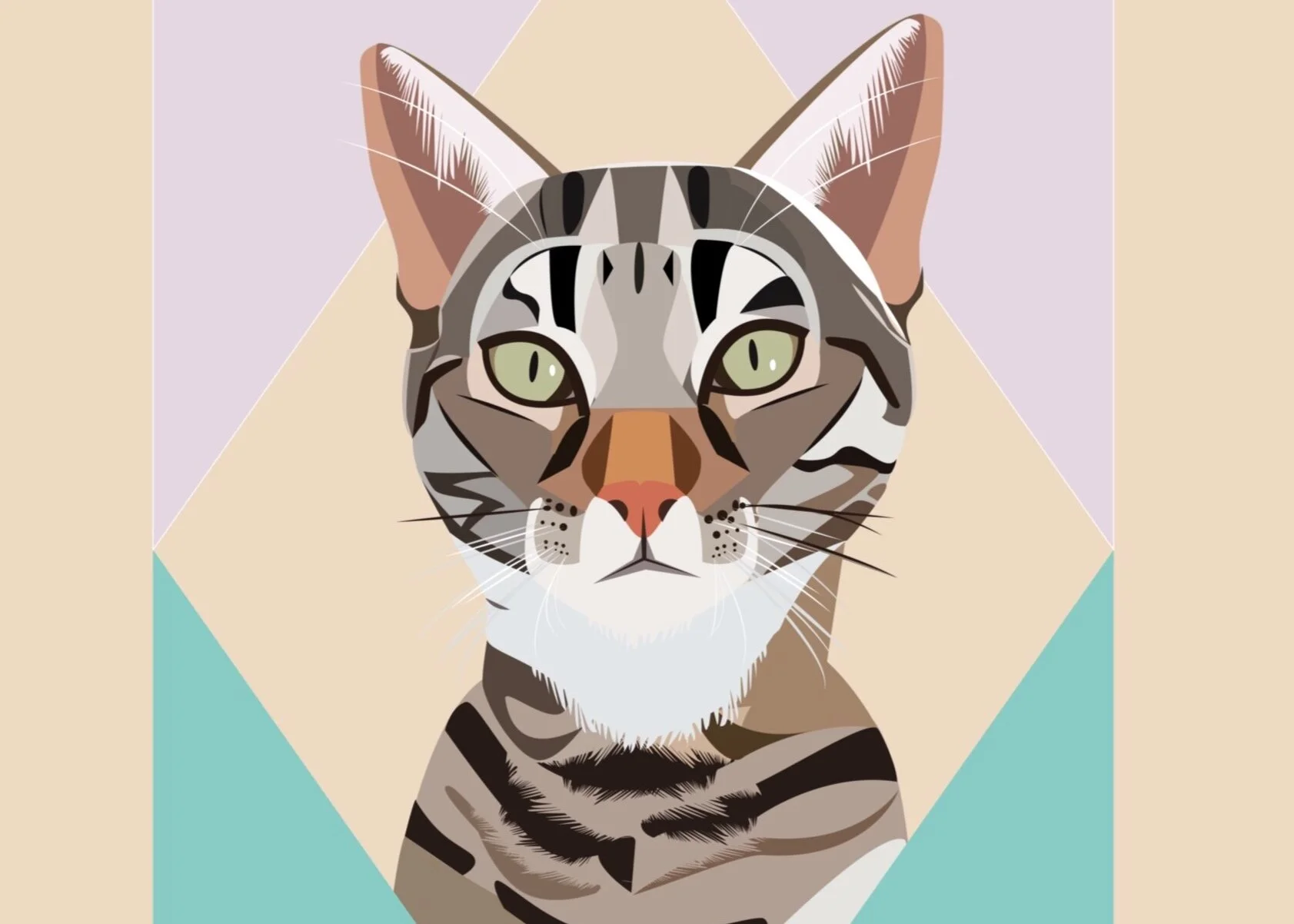 cat2.jpg