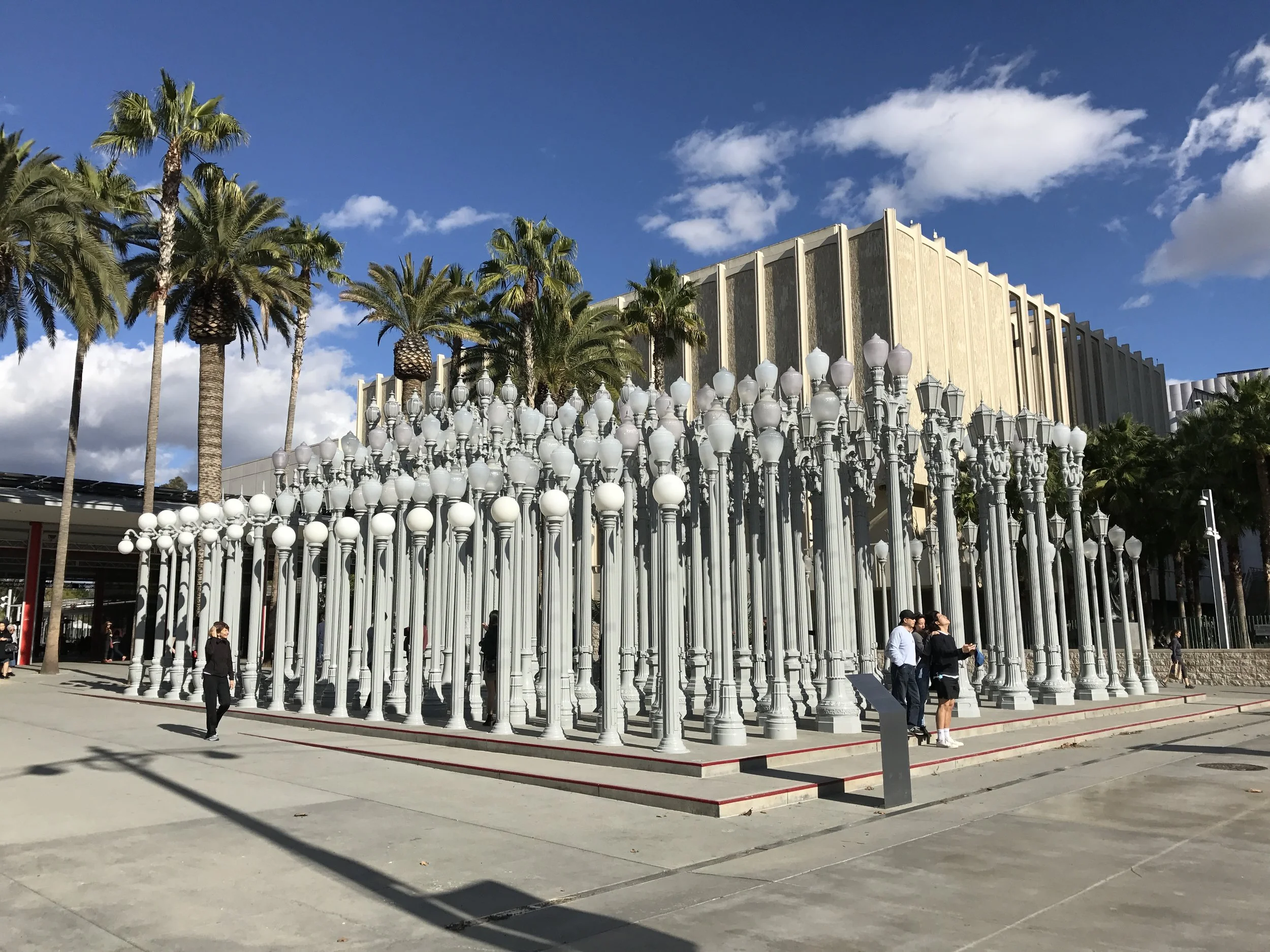 12/24 THE CITY LIGHTS