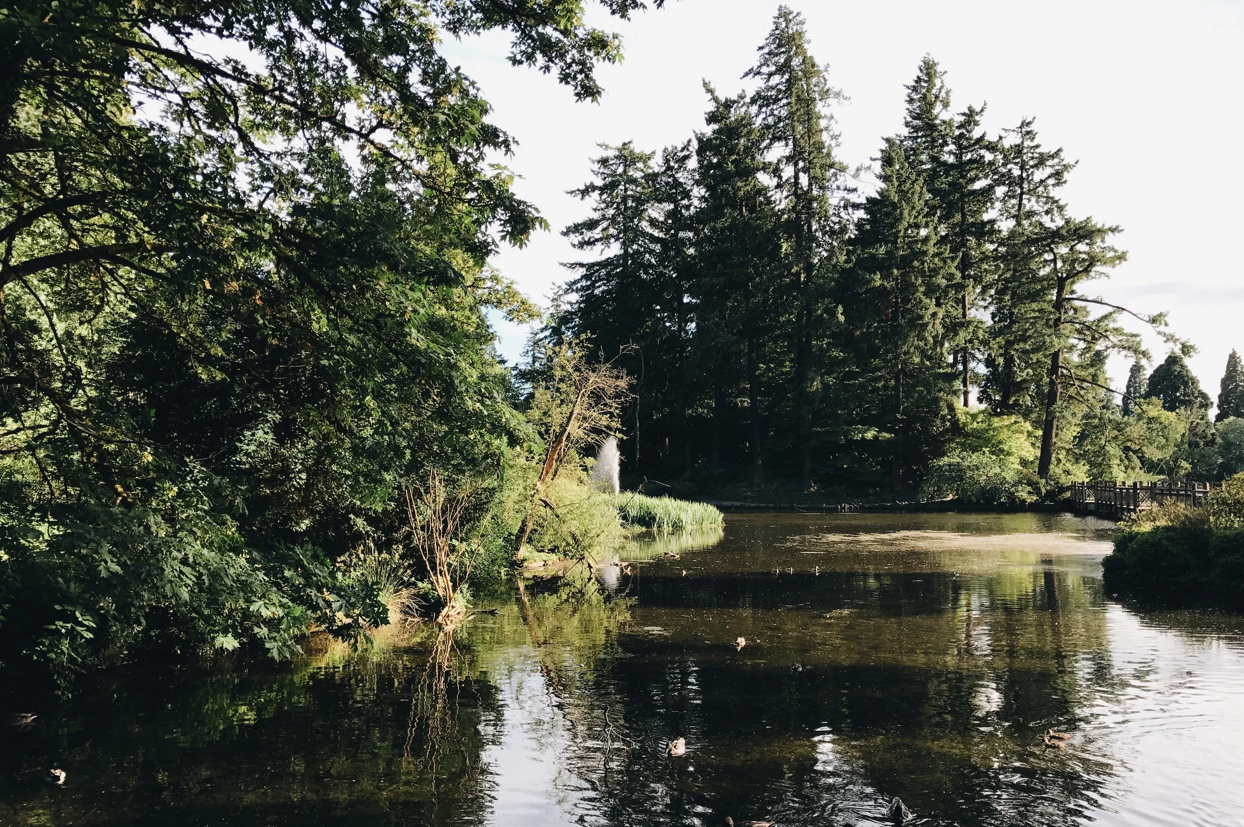 RHODODENDRON GARDEN