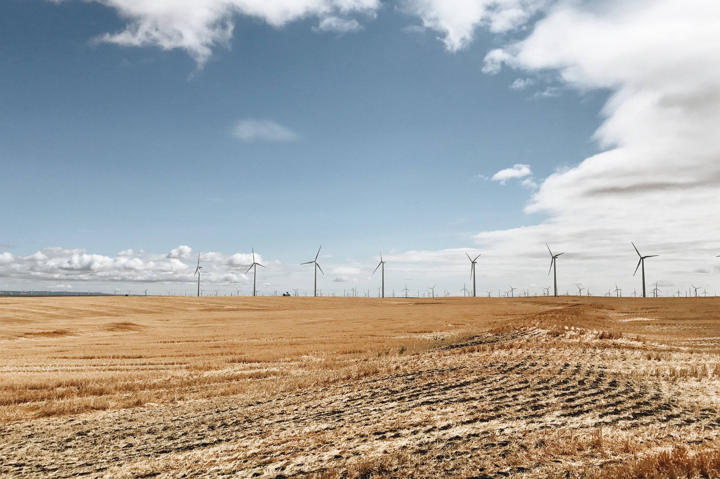 ARTIFICIAL / LANDSCAPES