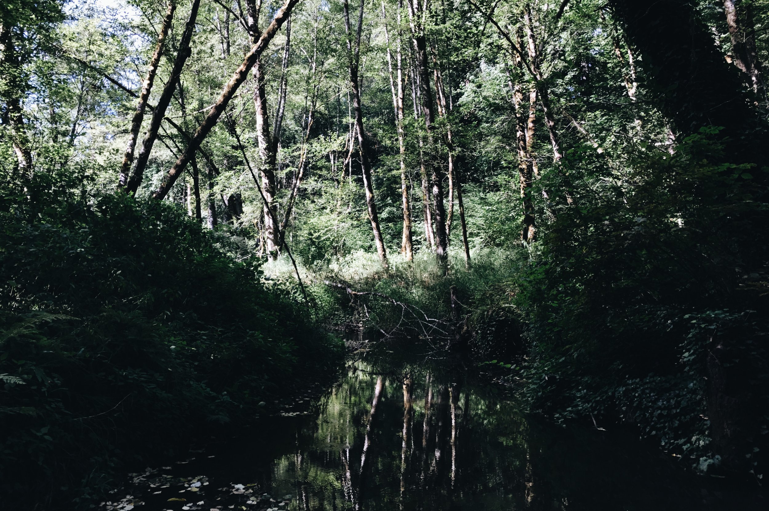 TRYON CREEK AGAIN