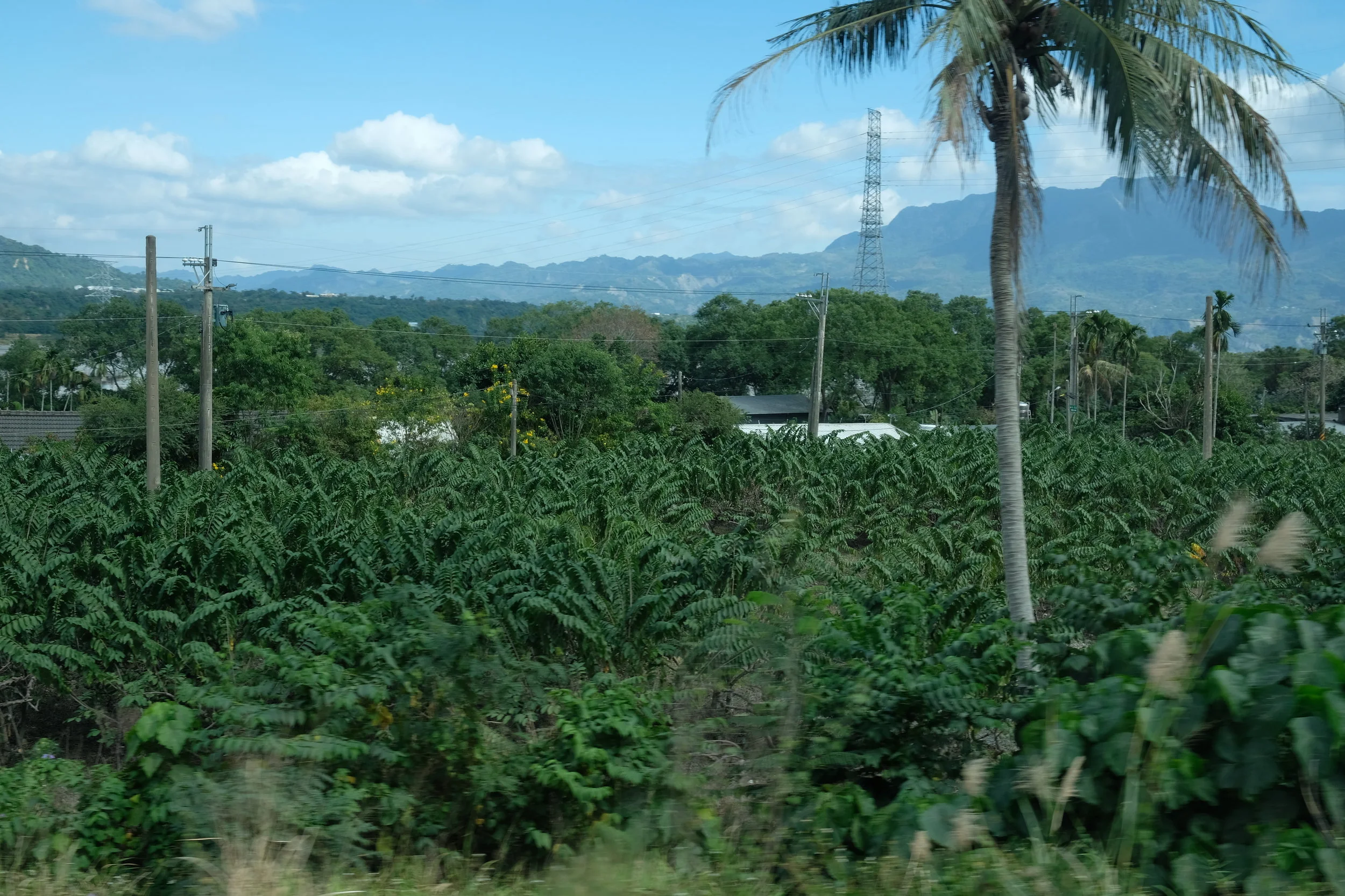 TRIP TO TAIWAN -TAITUNG~TAINAN / DAY6~8-