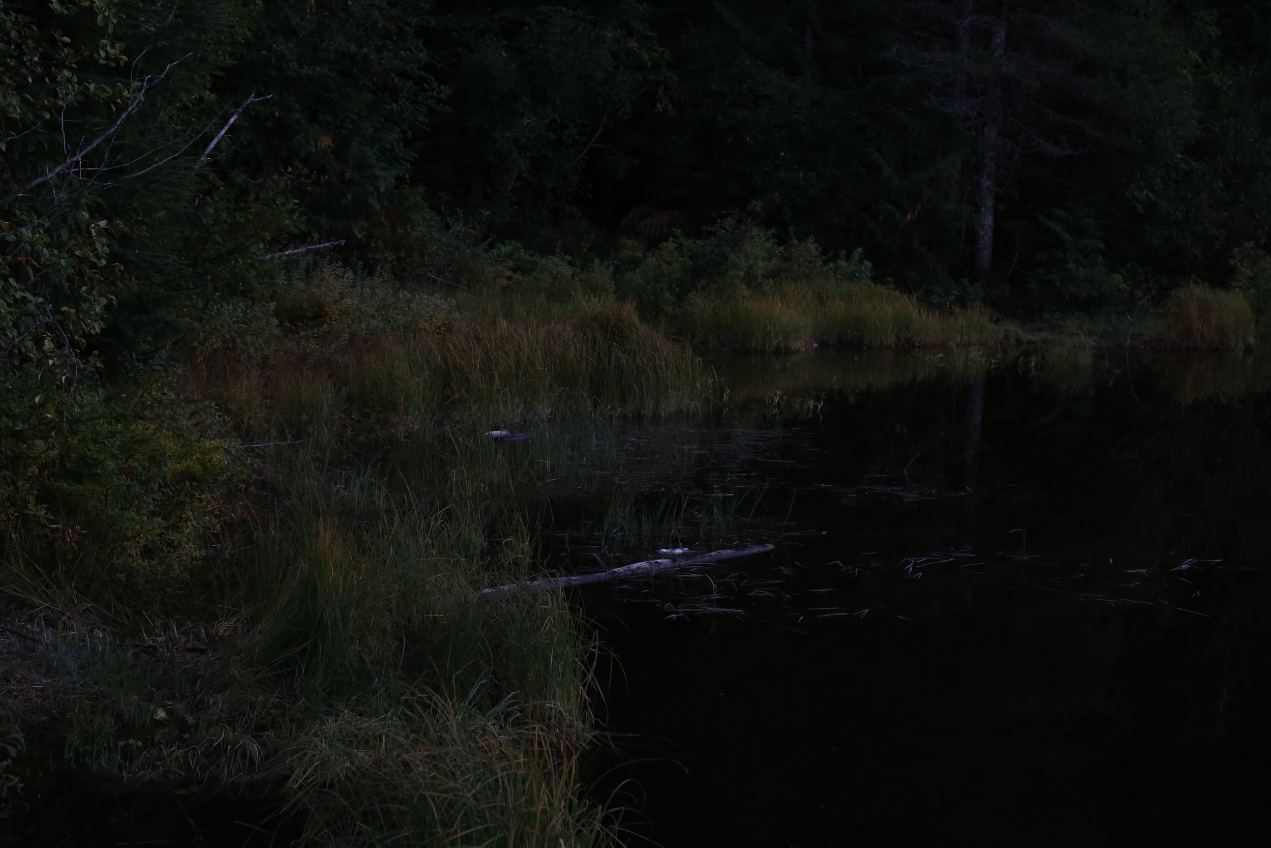 CAMPING IN THE COLD NIGHT