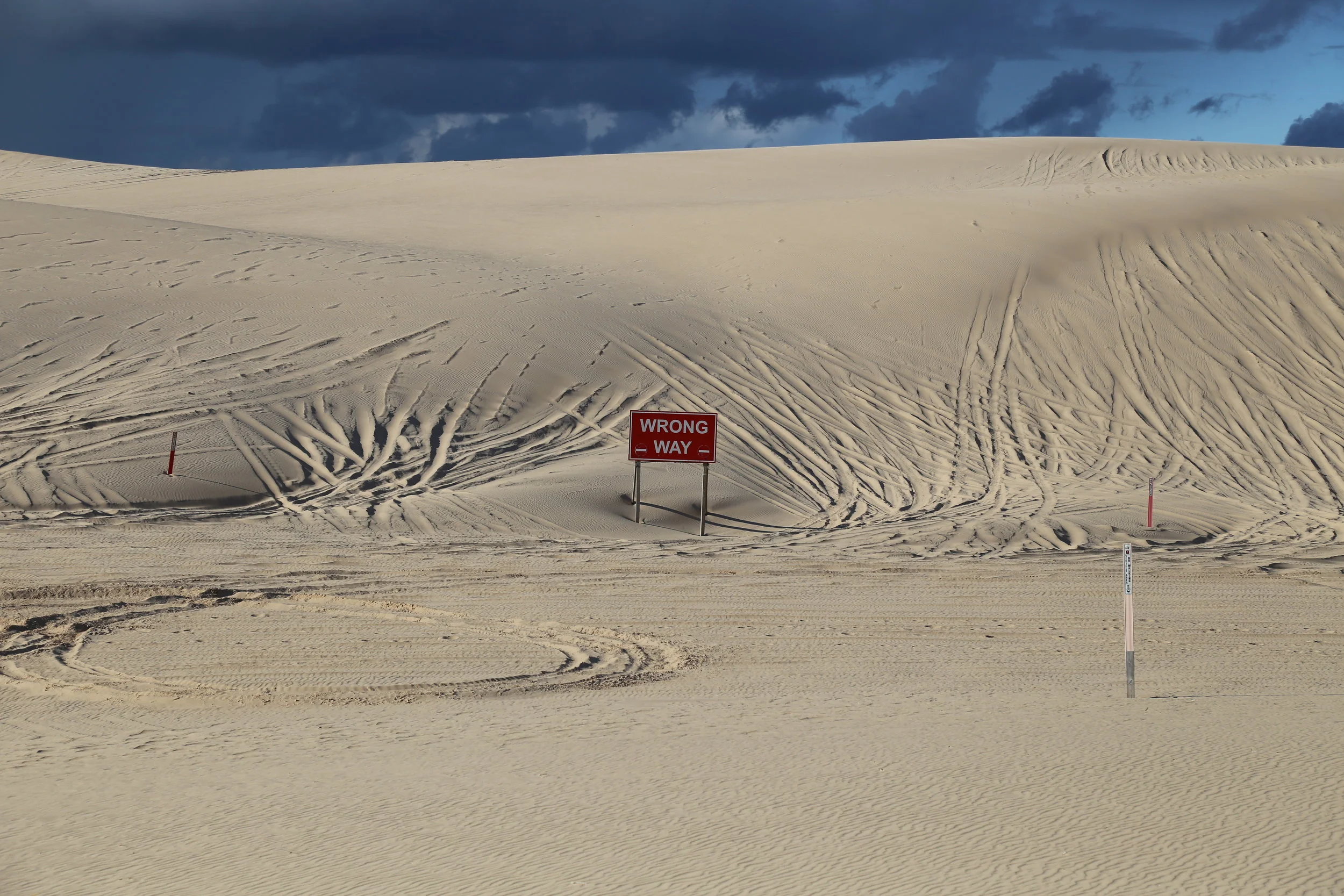 SEE EVERYTHING ONCE -DAY8-