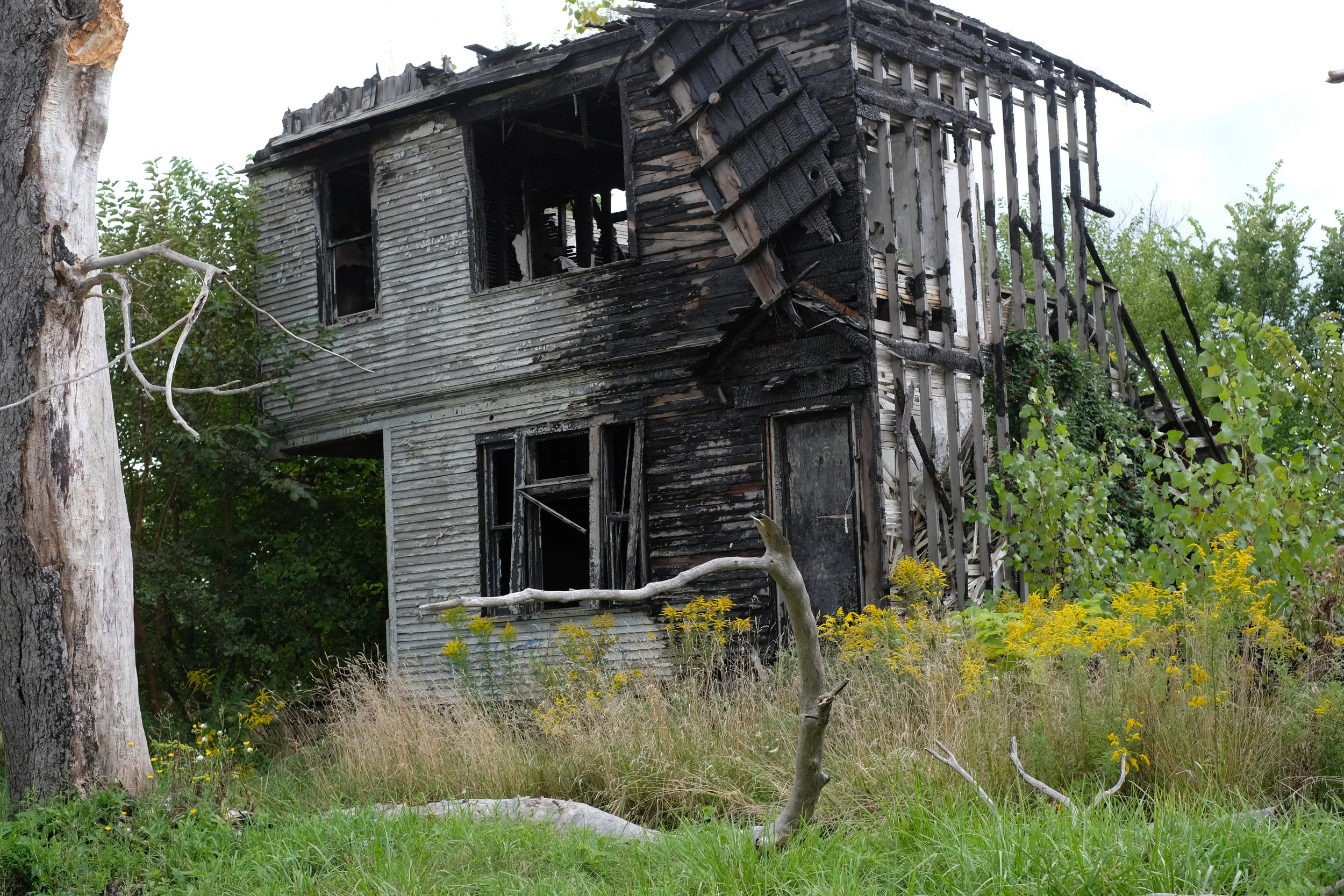 SEE EVERYTHING ONCE -DAY9-