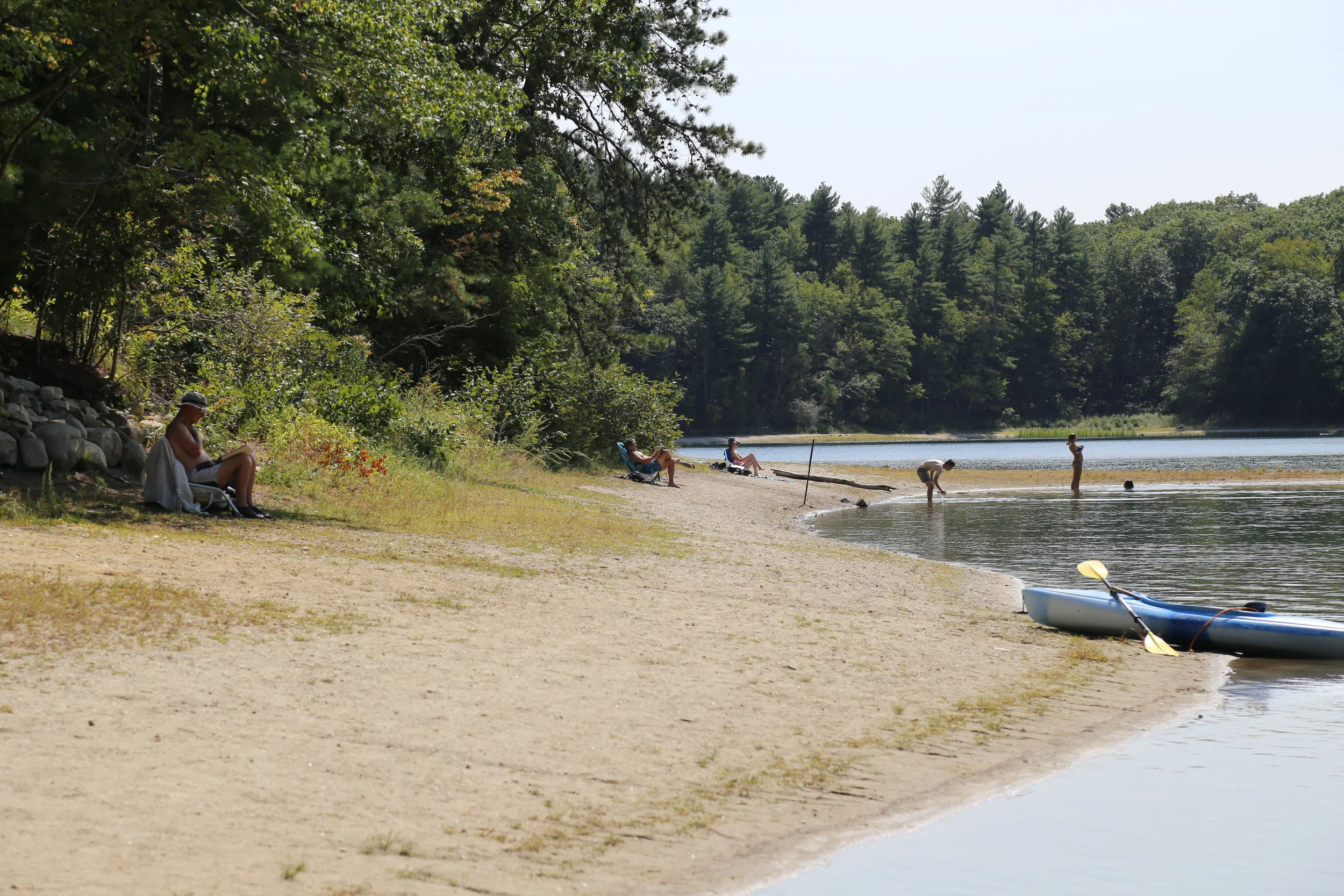 SEE EVERYTHING ONCE -DAY15-