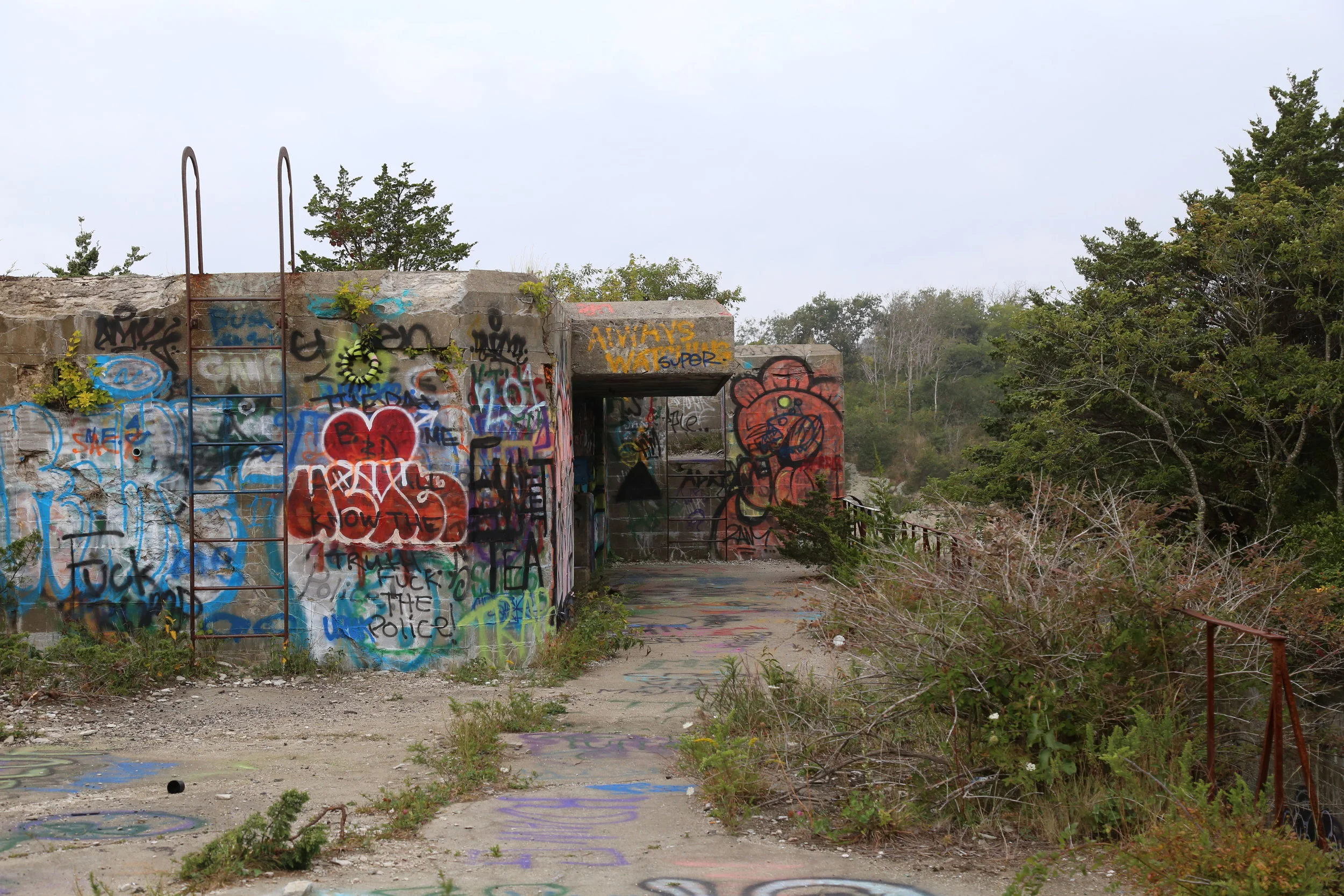 SEE EVERYTHING ONCE -DAY17-