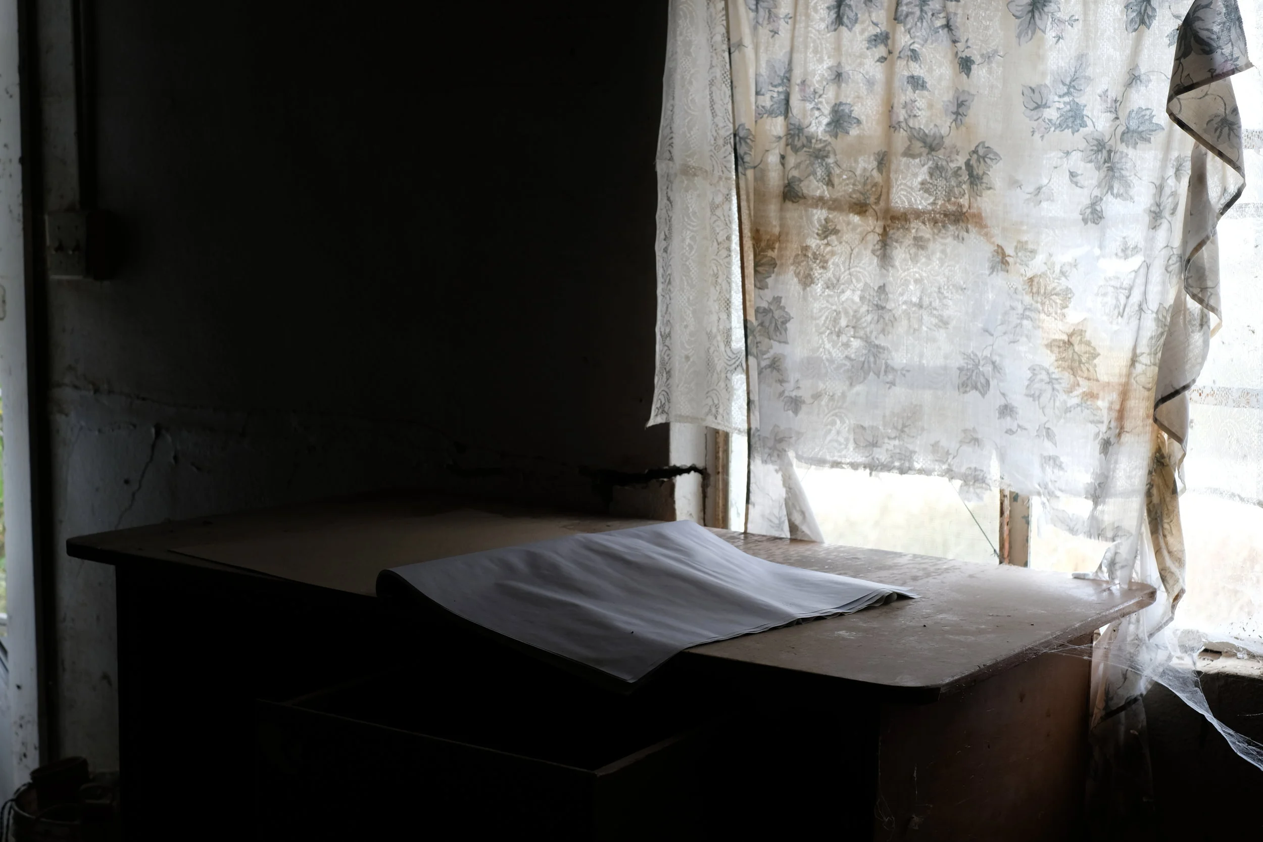 SEE EVERYTHING ONCE / TRIP TO SOUTHERN DAY16