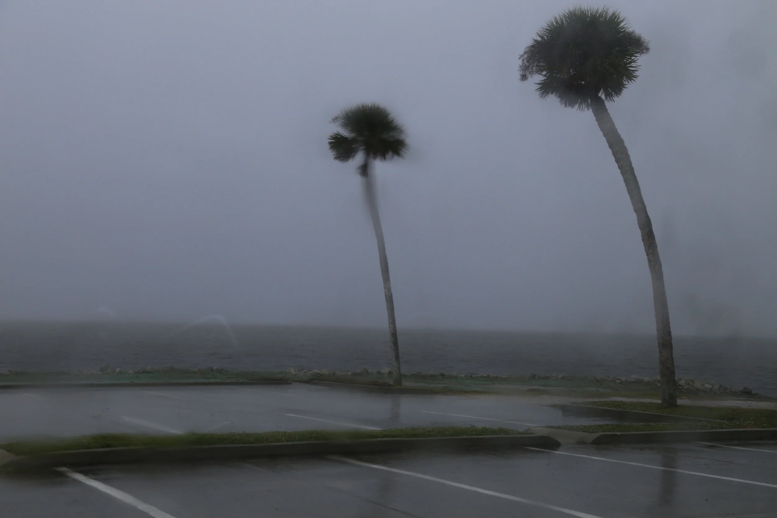 SEE EVERYTHING ONCE / TRIP TO SOUTHERN DAY28