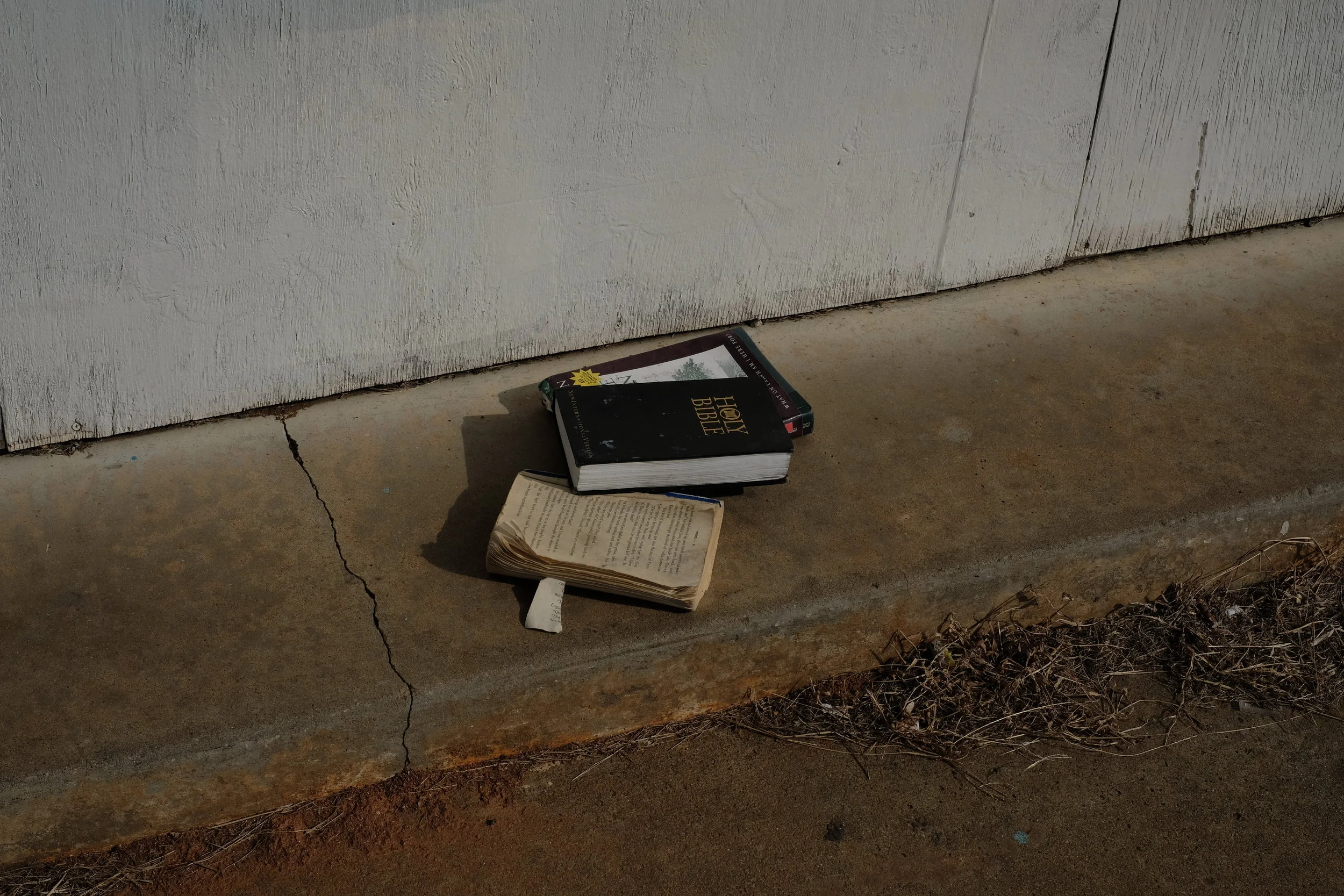 SEE EVERYTHING ONCE / TRIP TO SOUTHERN DAY30