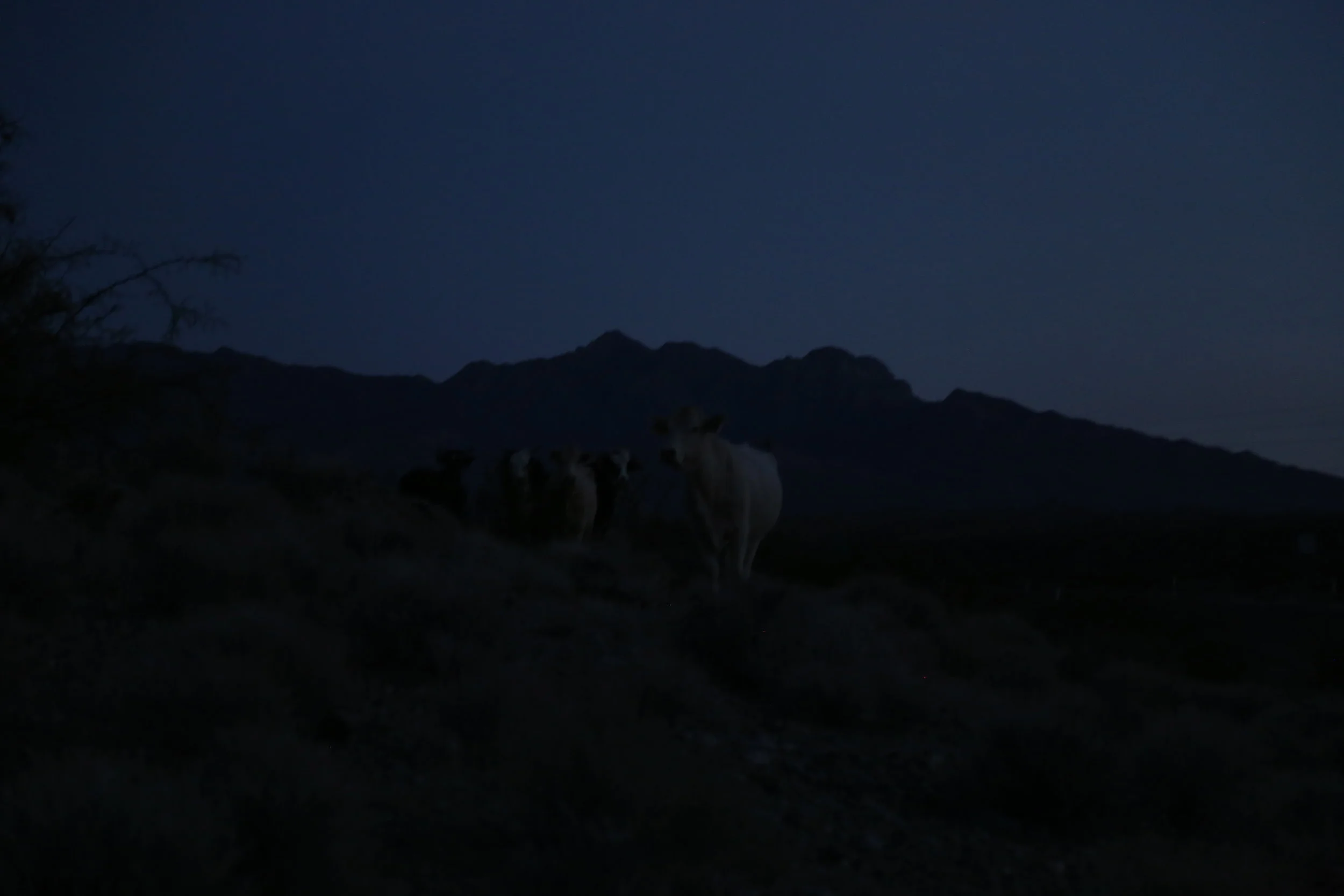 SEE EVERYTHING ONCE / TRIP TO SOUTHERN DAY39