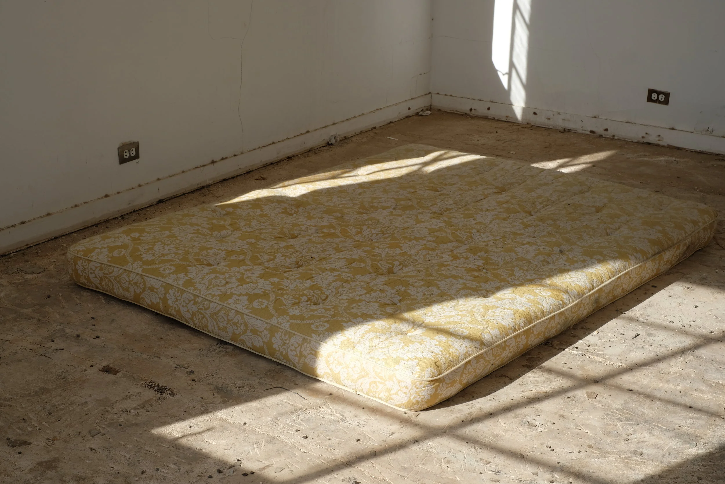 SEE EVERYTHING ONCE / TRIP TO SOUTHERN DAY40