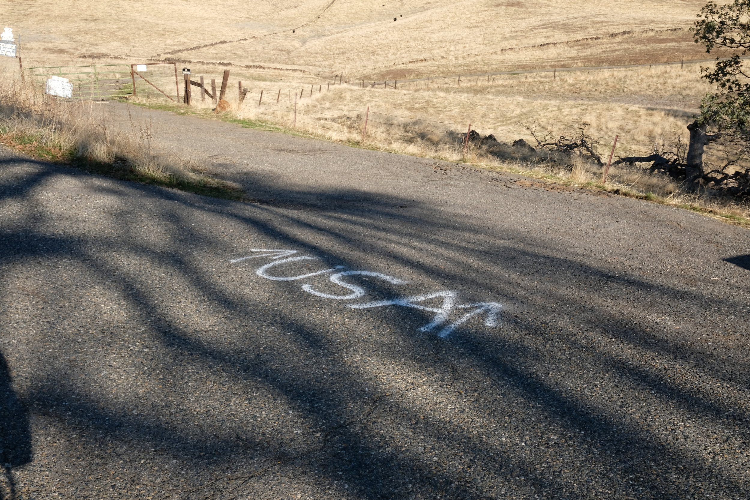 SEE EVERYTHING ONCE / TRIP TO SOUTHERN DAY42