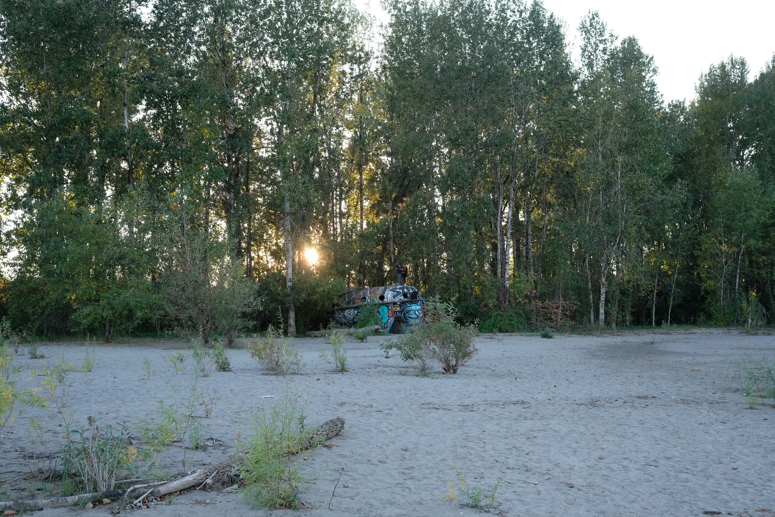 MY LIFE IS STARTING OVER AGAIN