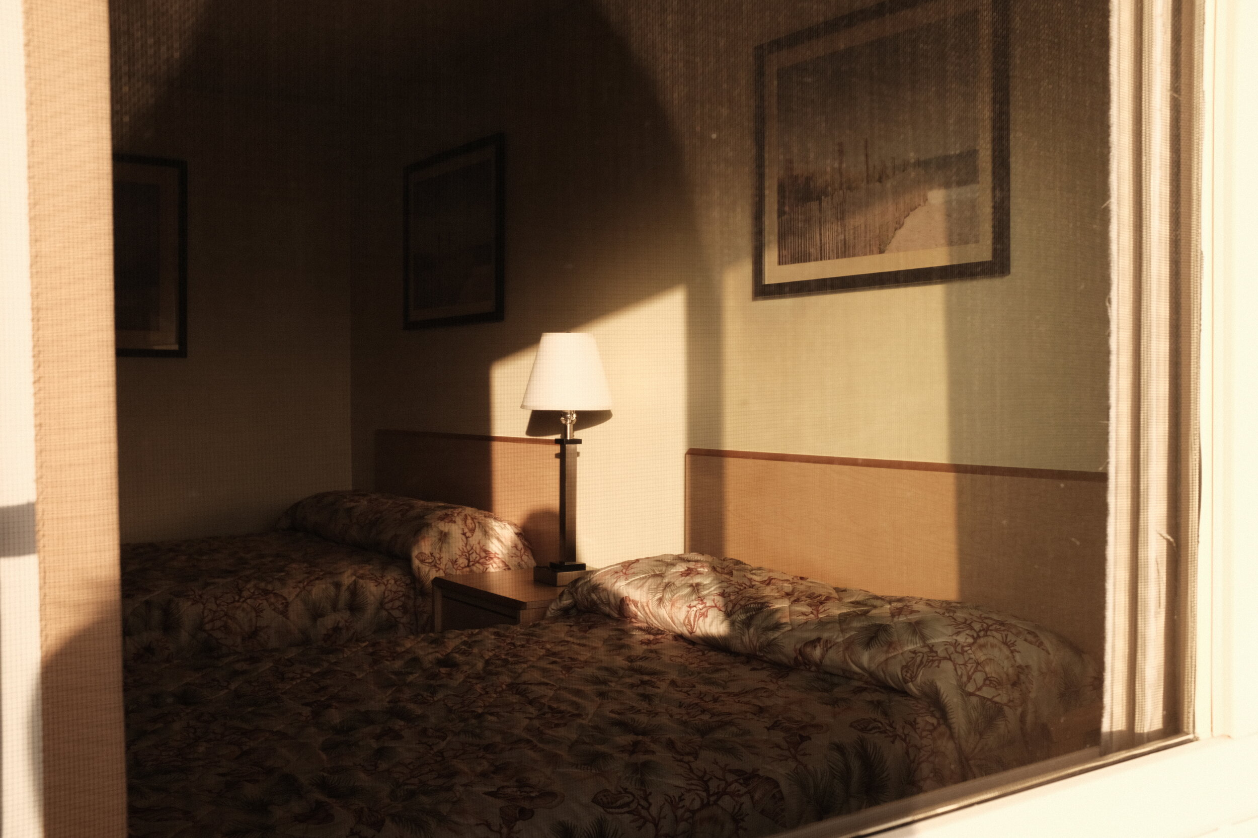 LOS ASNGELES 20191121