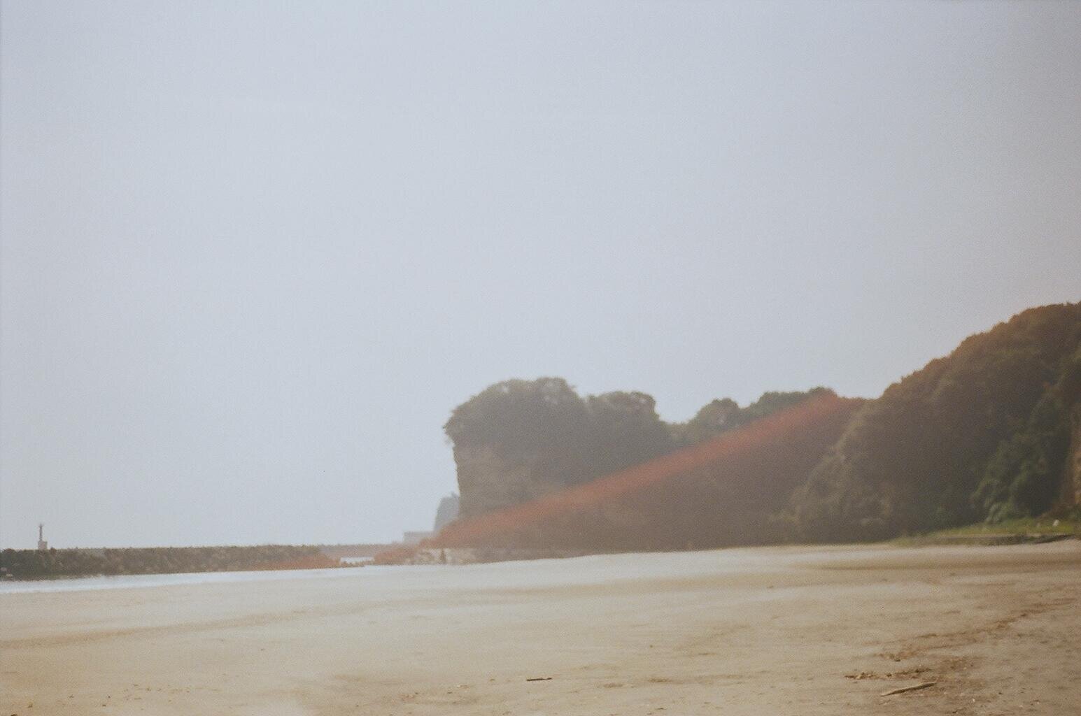 The First Fish of 2021