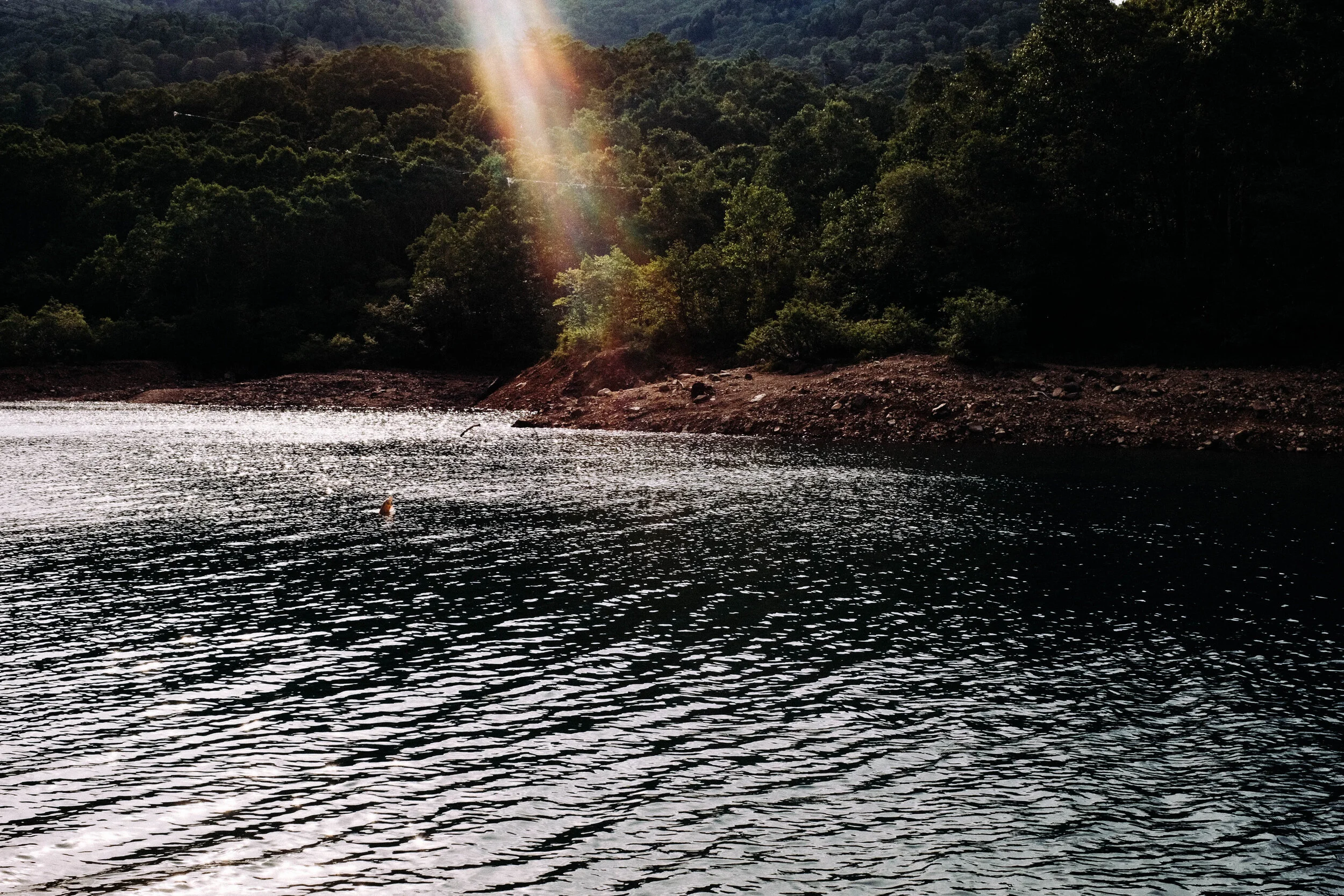 A Lake with Silence