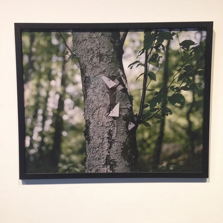 Oscar Palacio, photograph from Walden ─ then and now , 2013-14