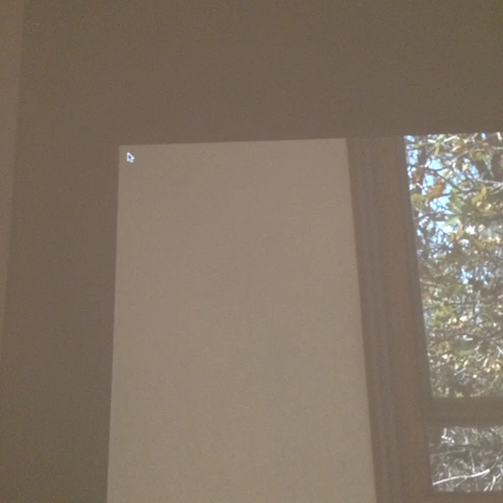 Corner of James Benning's Two Cabins . The two channel video is just a part of a larger project by filmmaker Benning. In the only shot I took of this installation, I chose to be snarky and capture a misplaced mouse pointer in the projector view.