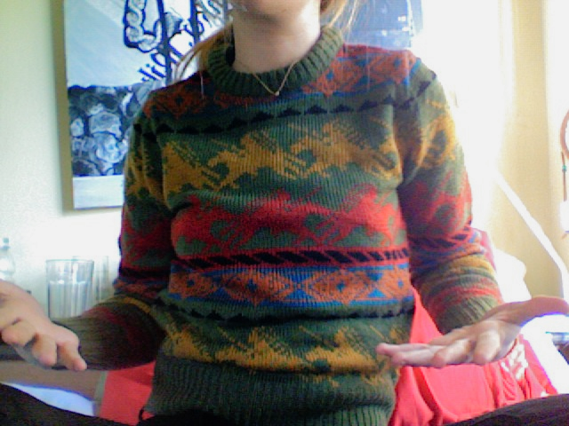I feel like this former pullover (gone now, sadly) is on its own the basis for a color palette.