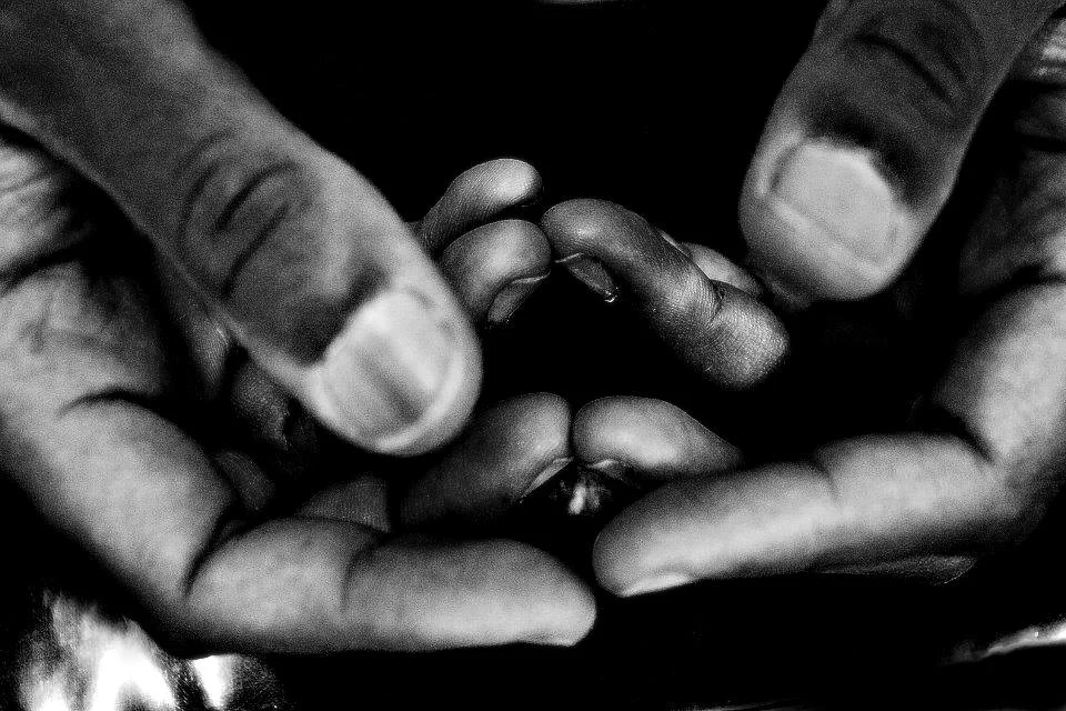 tomber dans les paumes, 2013