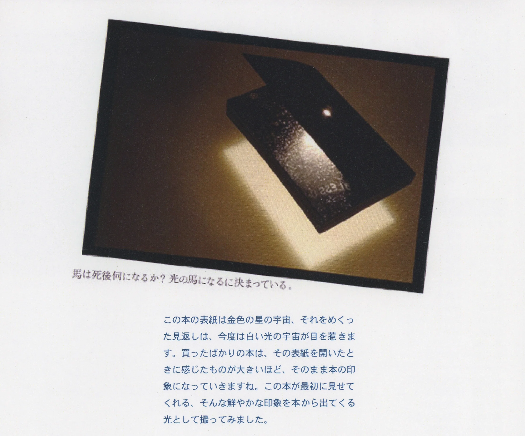 ２０−４ .jpg