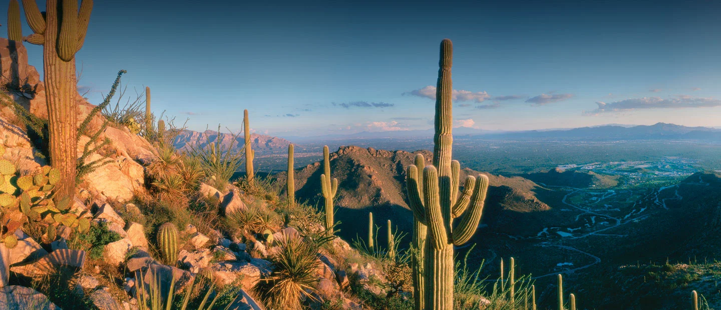 tucson az.jpg