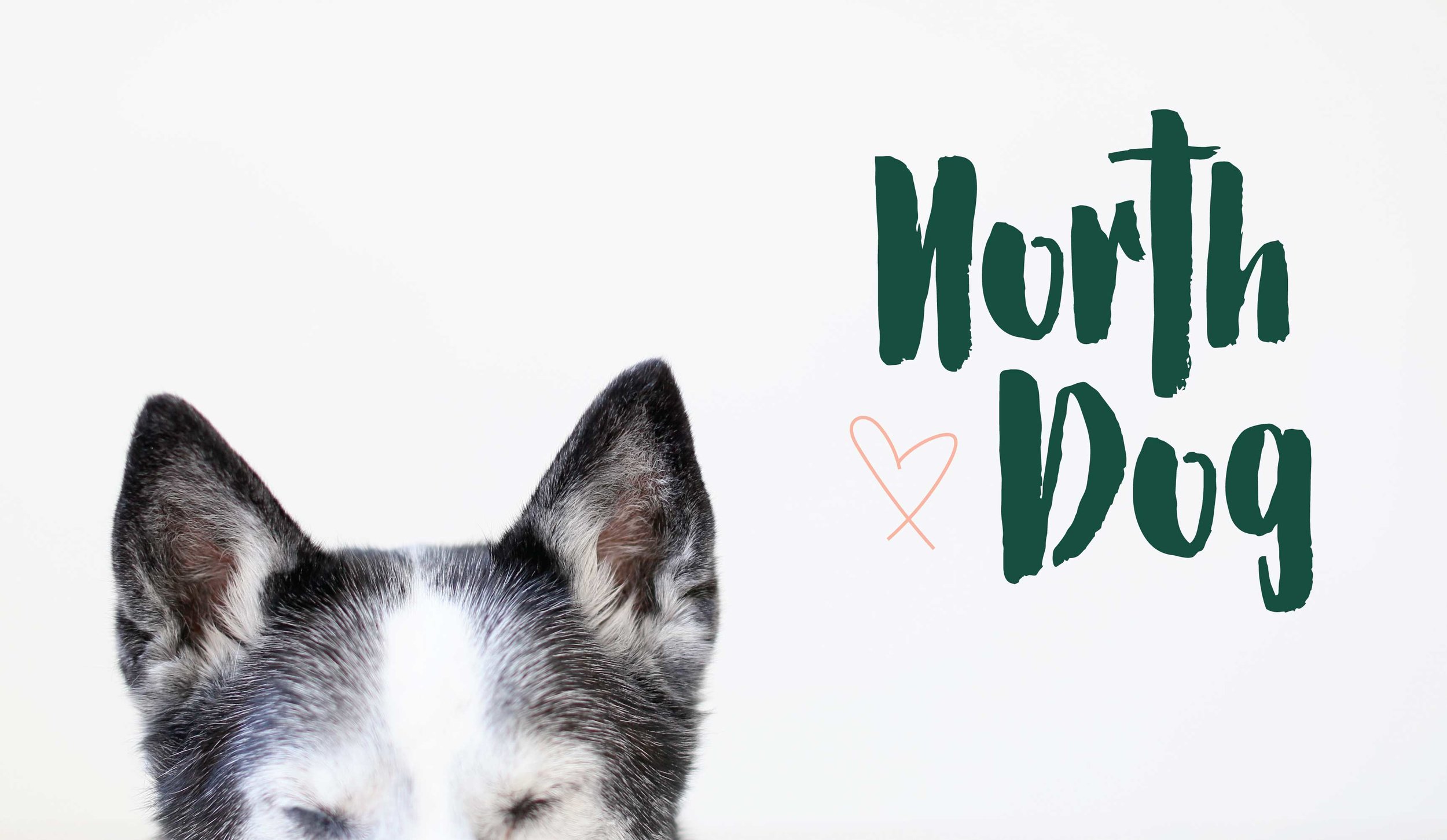 North Dog Logo and Branding Design by AllieMarie Design