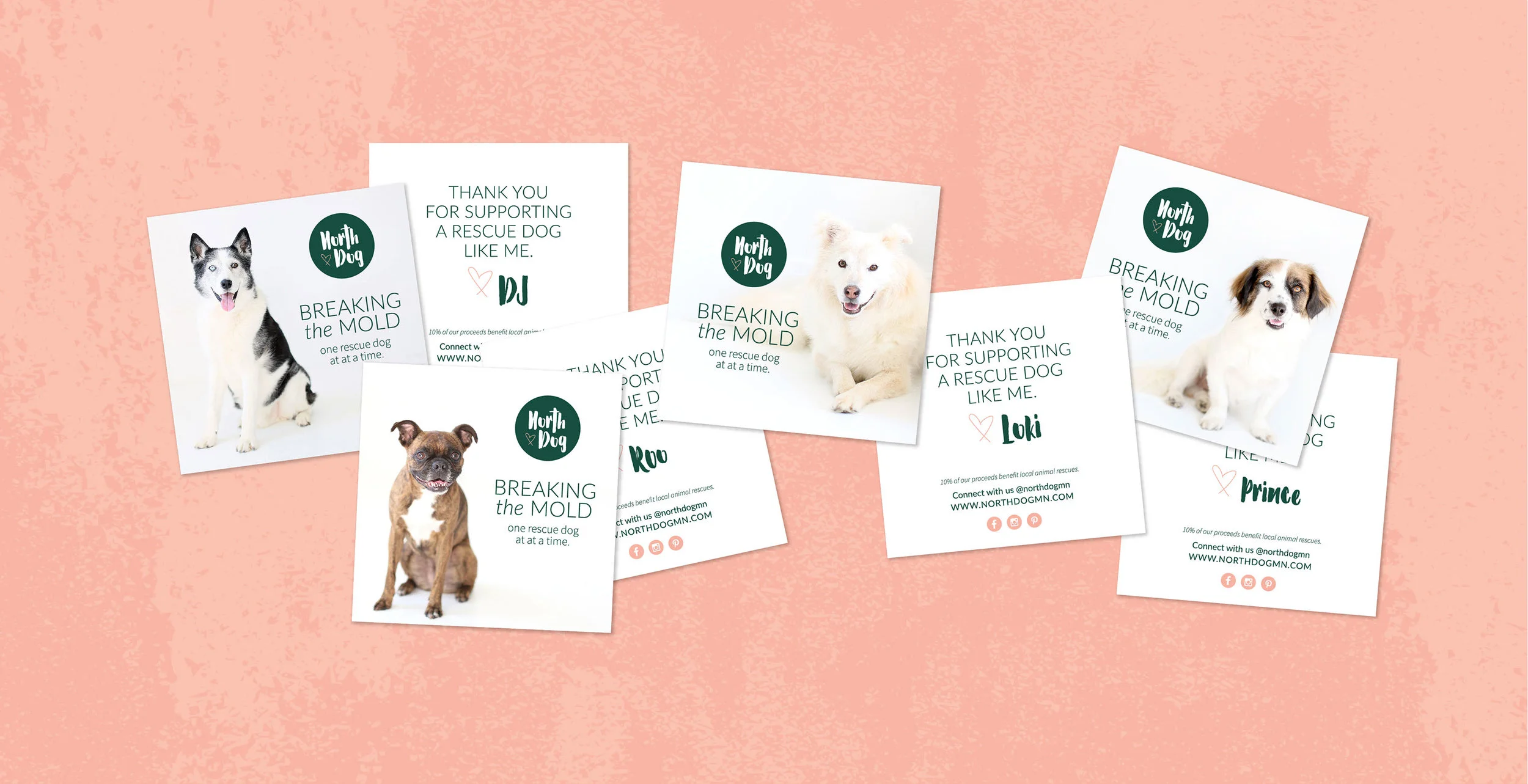 North Dog, Giving with Heart | Square Postcards for Packaging with Photos of Dogs | Branding by AllieMarie Design