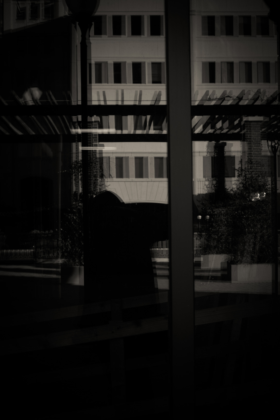 _C5A7685.jpg